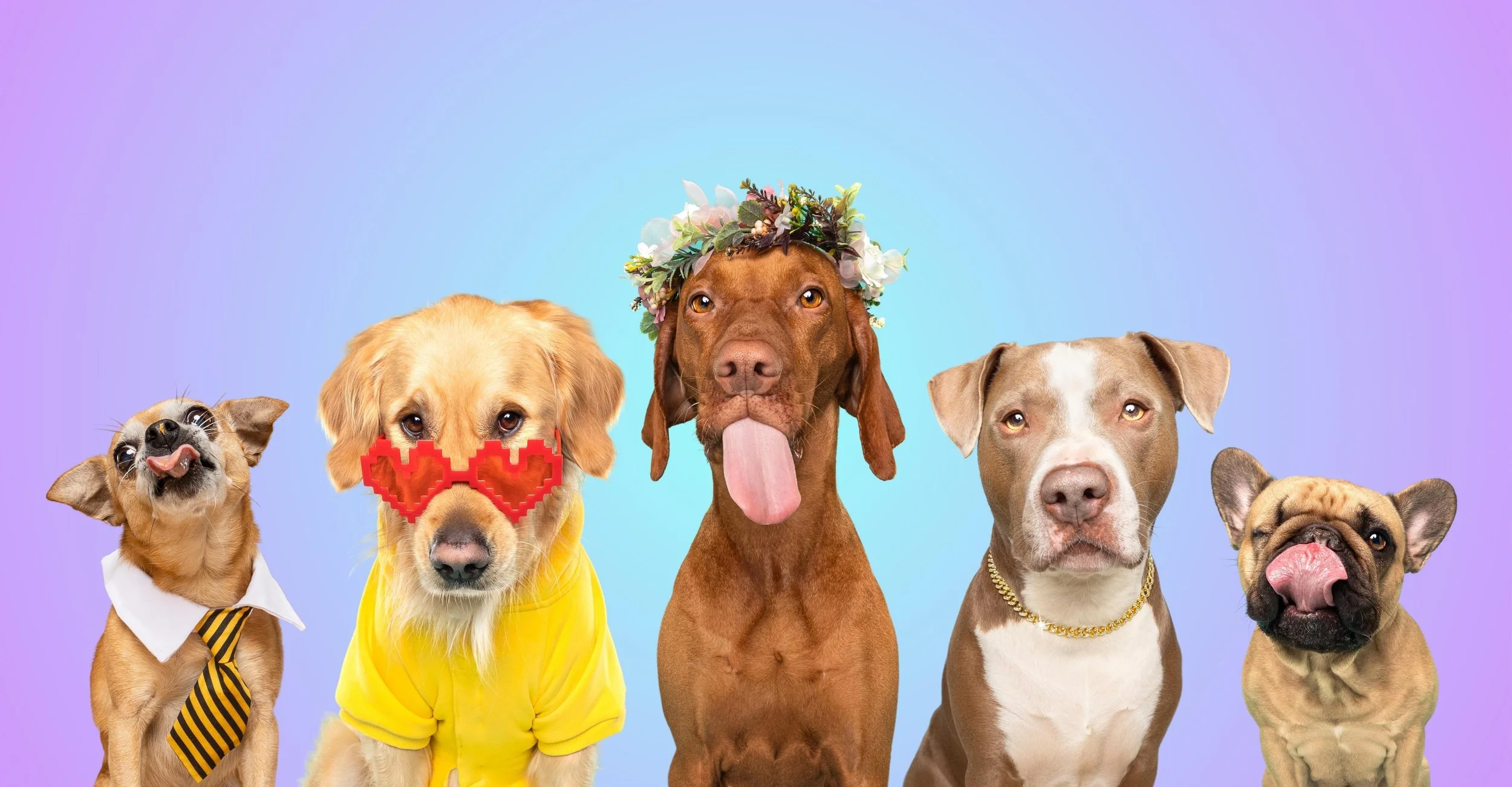 Evenementen op komst!