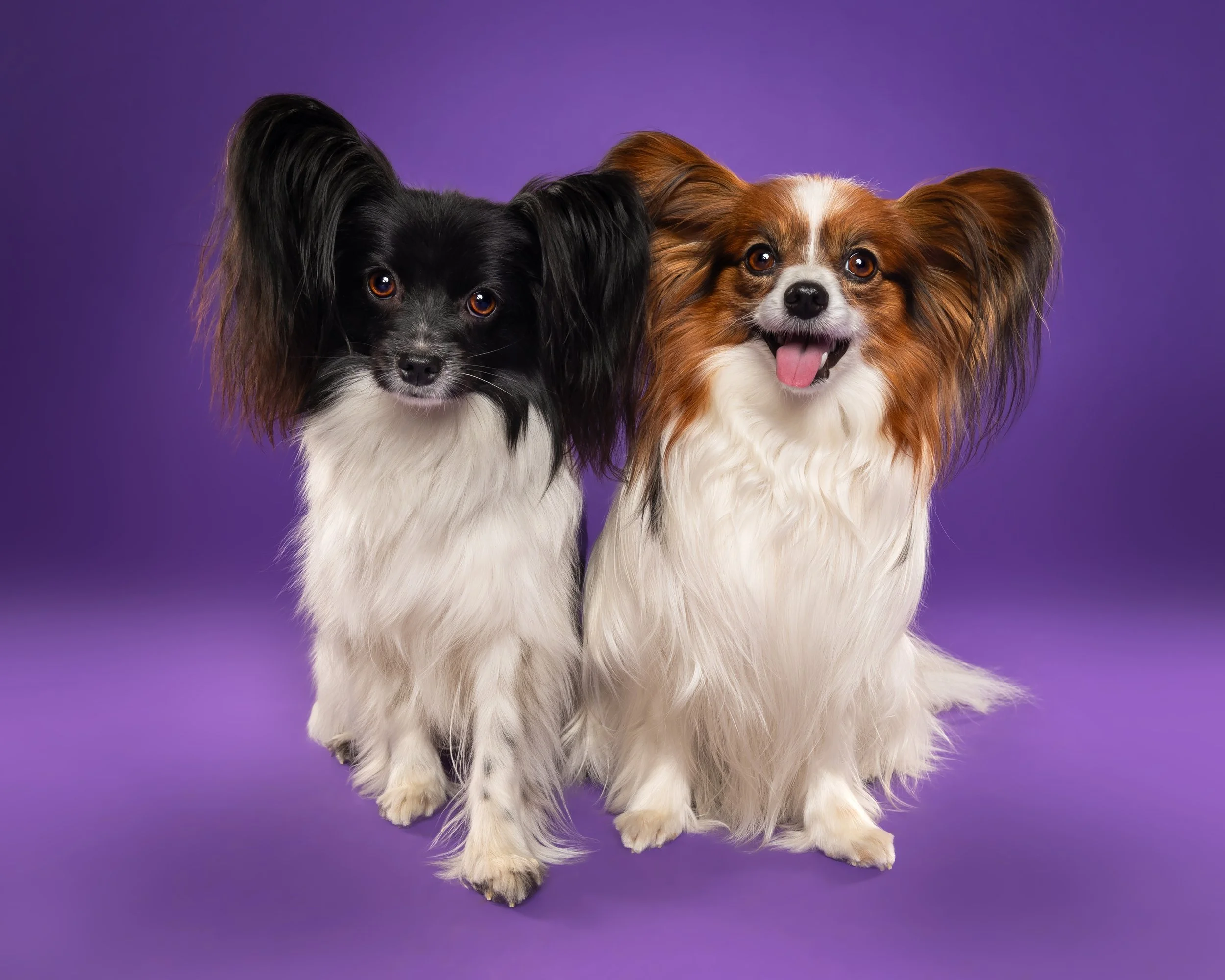 Een cadeautje voor ons allebei.