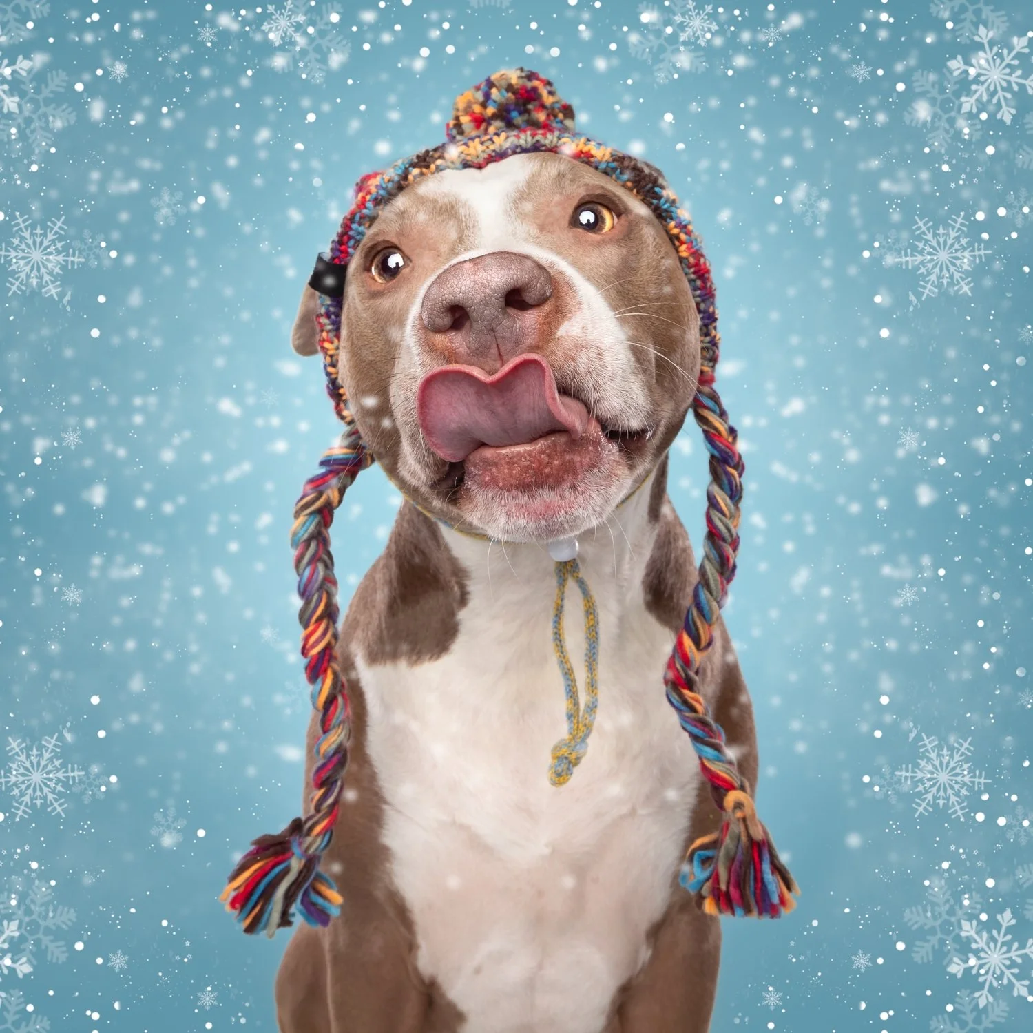 Ontwerp zonder titel - 2023-11-02T013911.297.jpg