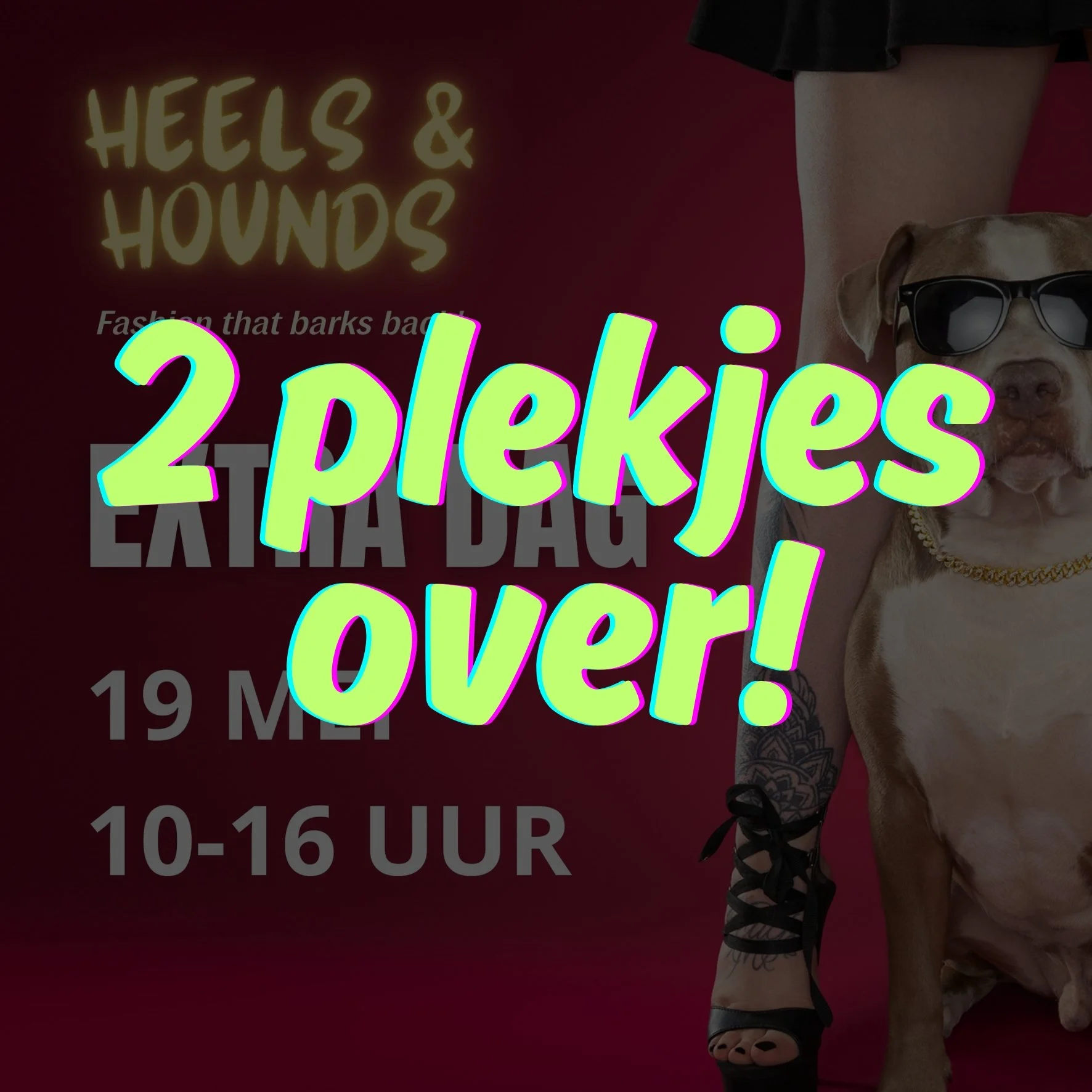 2 plekjes over voor de Heels &amp; Hounds mini shoot op 19 mei!