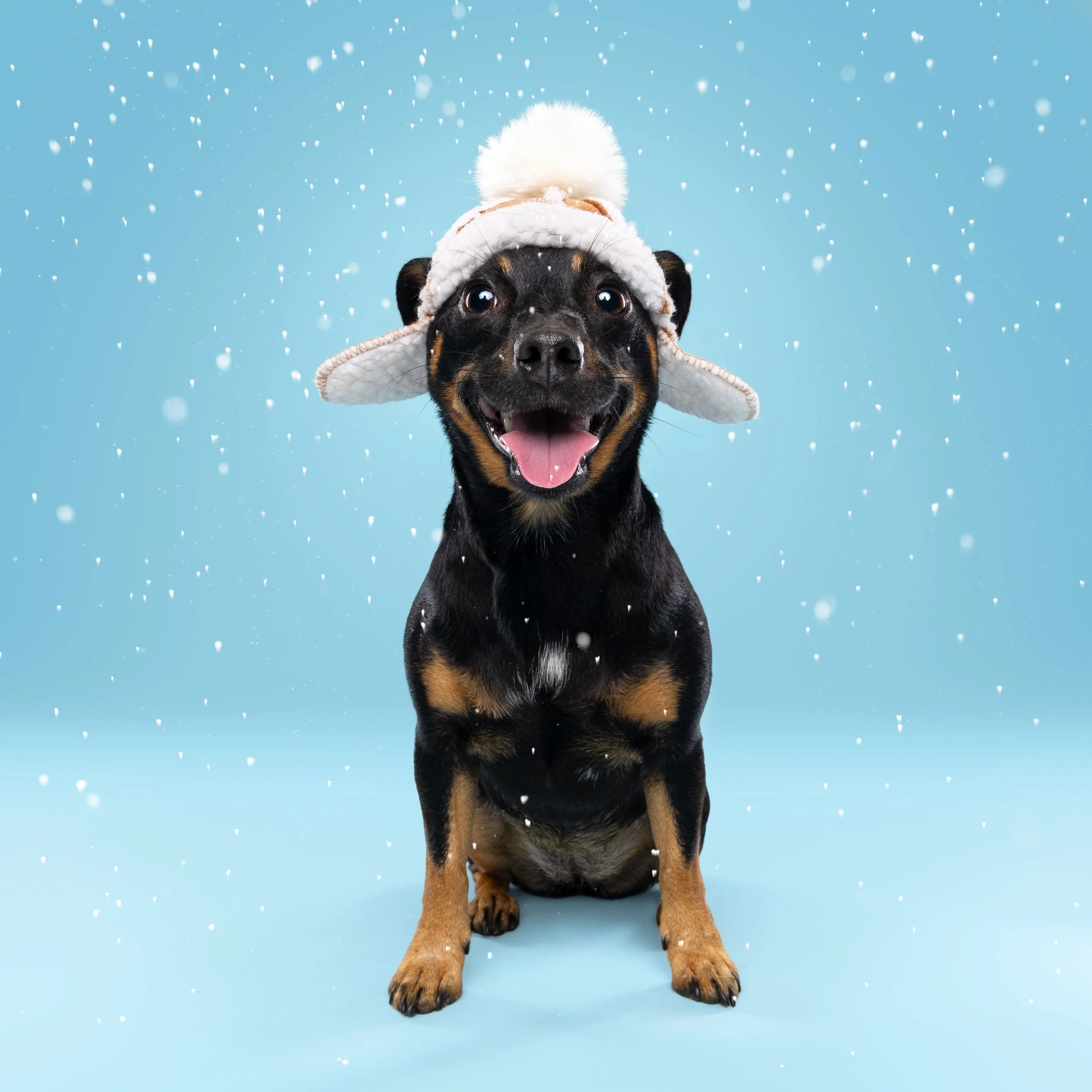 _K3A7746.jpg snow.jpg
