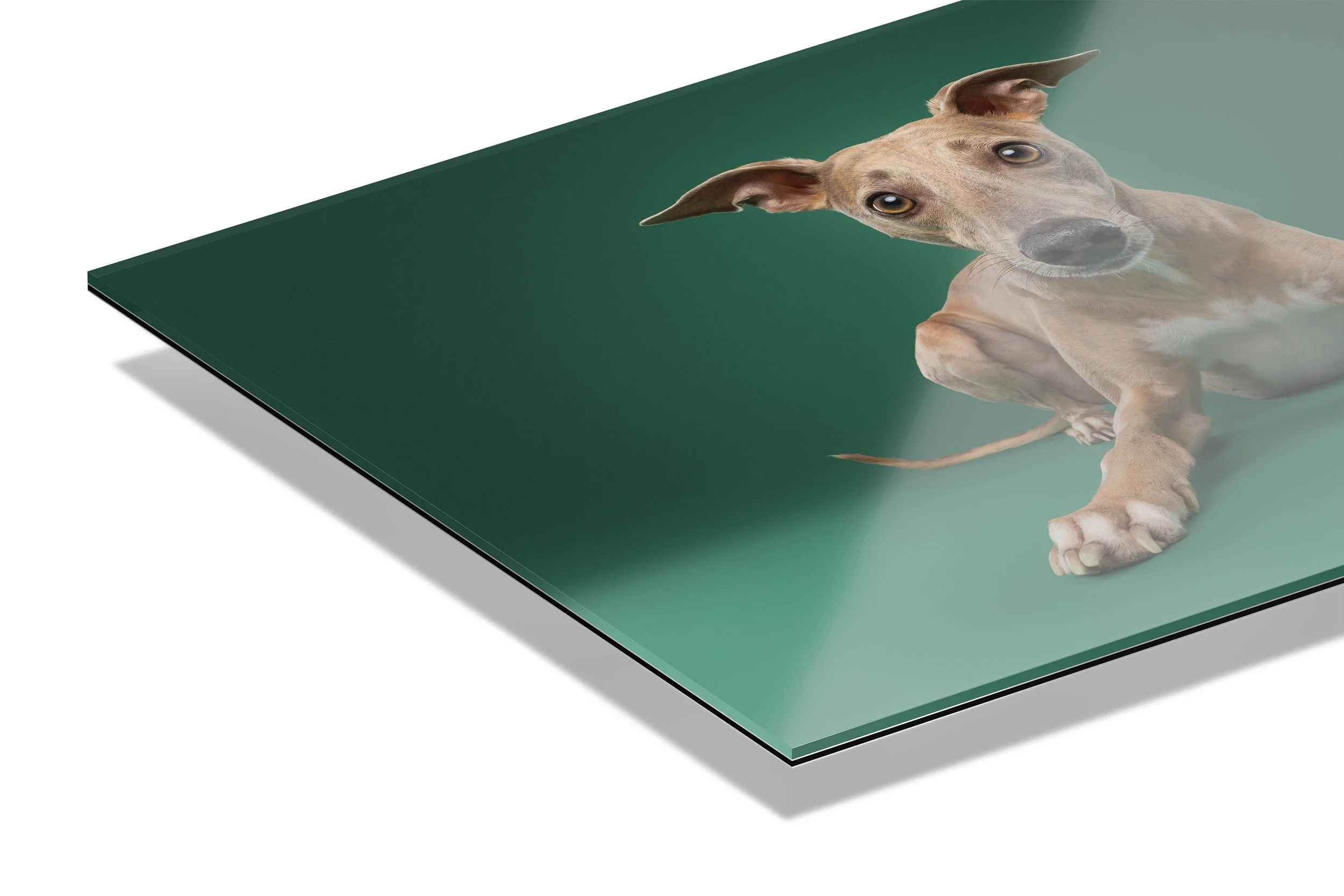 Een close-up van een tekening van een hond op een groene achtergrond.