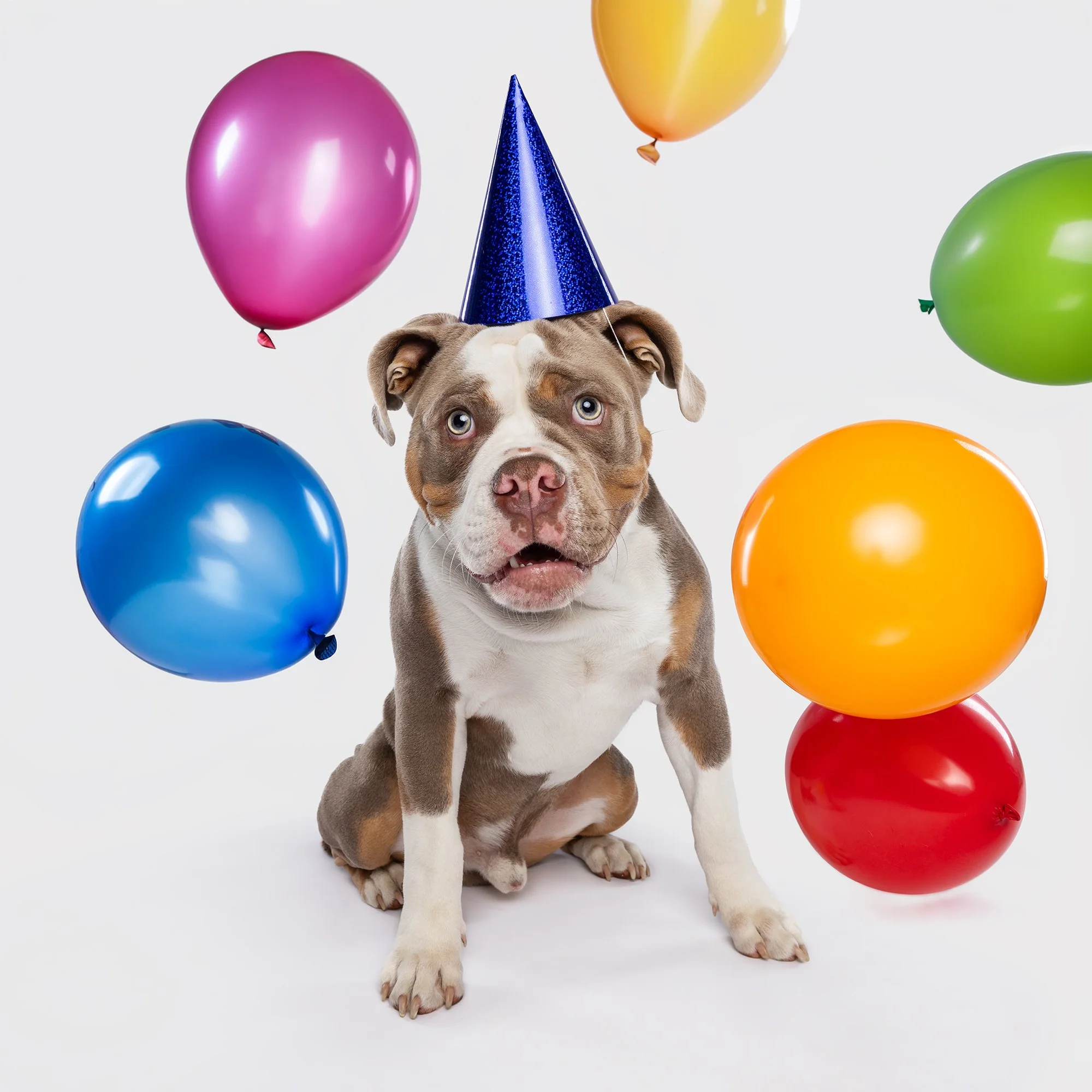 ME_K3A4345.jpg balloons.jpg