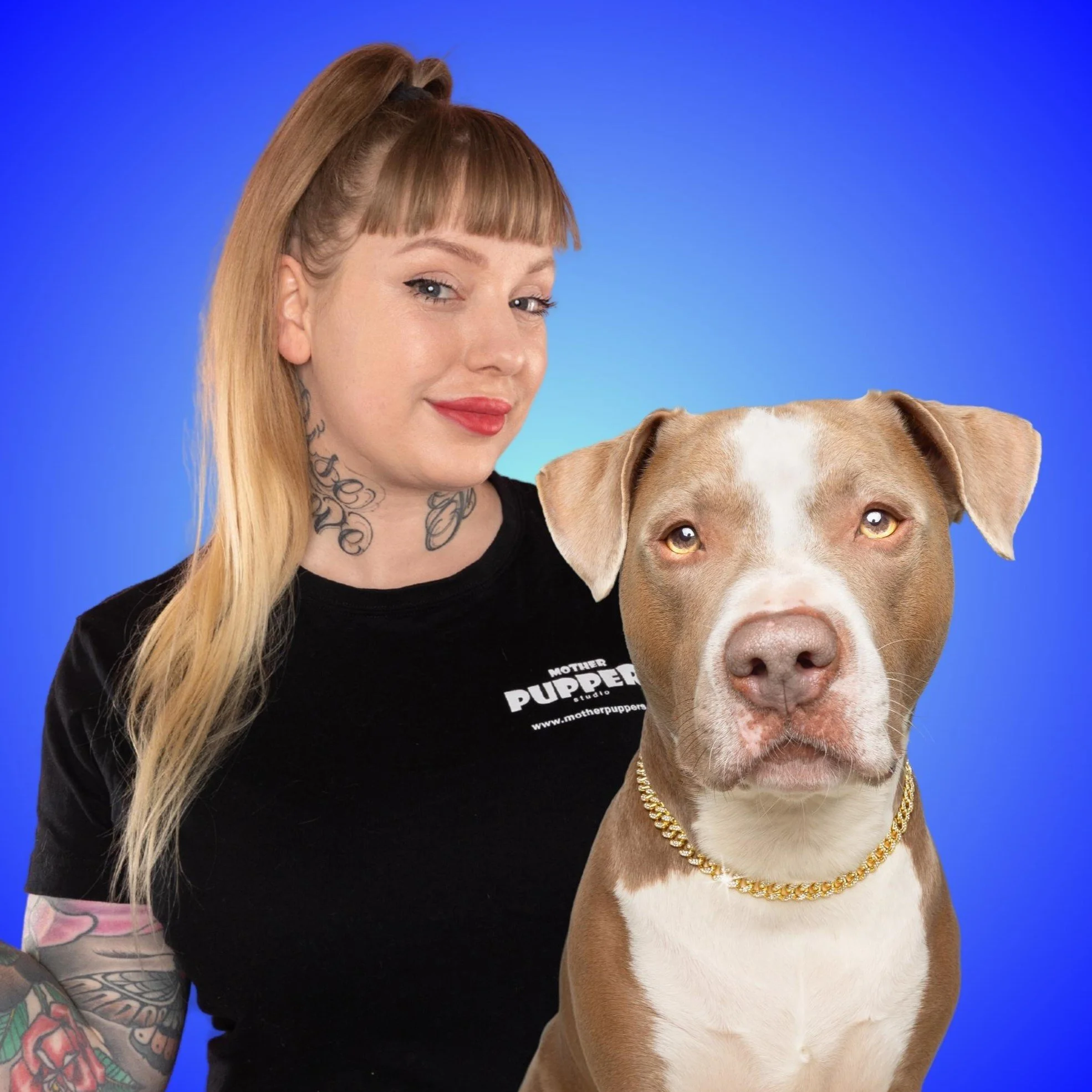Stafford hond met hondenfotograaf Kim van Motherpuppers Studio in Rotterdam Zuid-Holland  op de foto