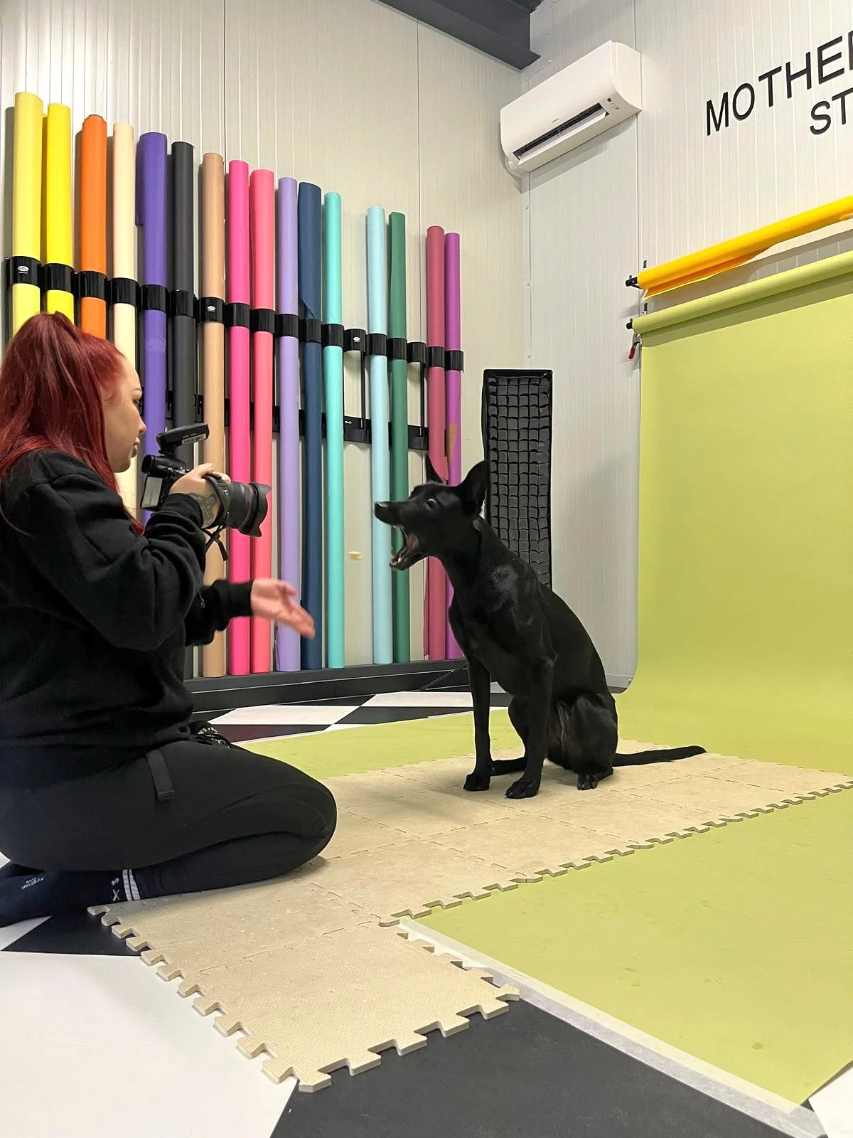 A woman with red hair holds a camera pointed at a black dog that is sitting and appears to be barking, in a colorful room with brightly colored pipes in the background and green background paper.