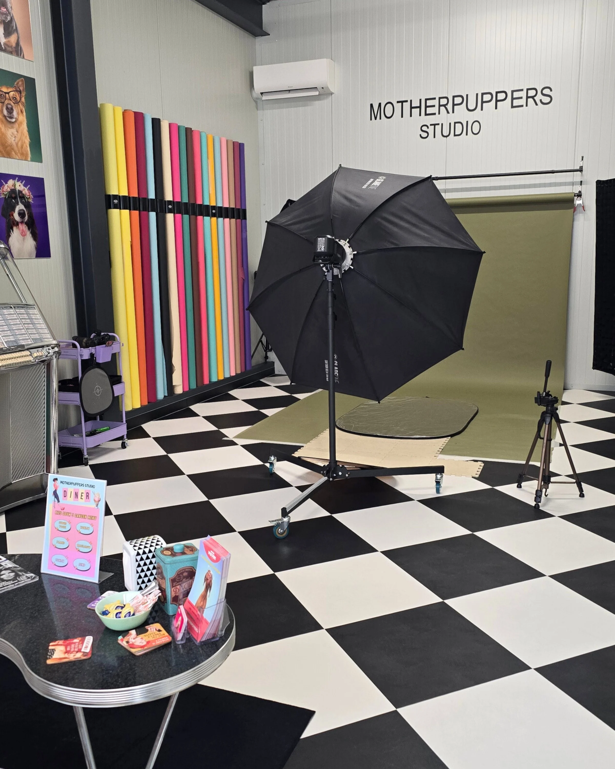 Photo studio with professional photo equipment including a large black umbrella, green background, and camera equipment, with accessories and posters of dogs and dog products.