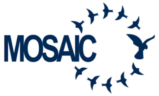 MOSAIC - MULTI OPERATIONAL SECURITY AGENCY INTELLIGENCE COMPANY 