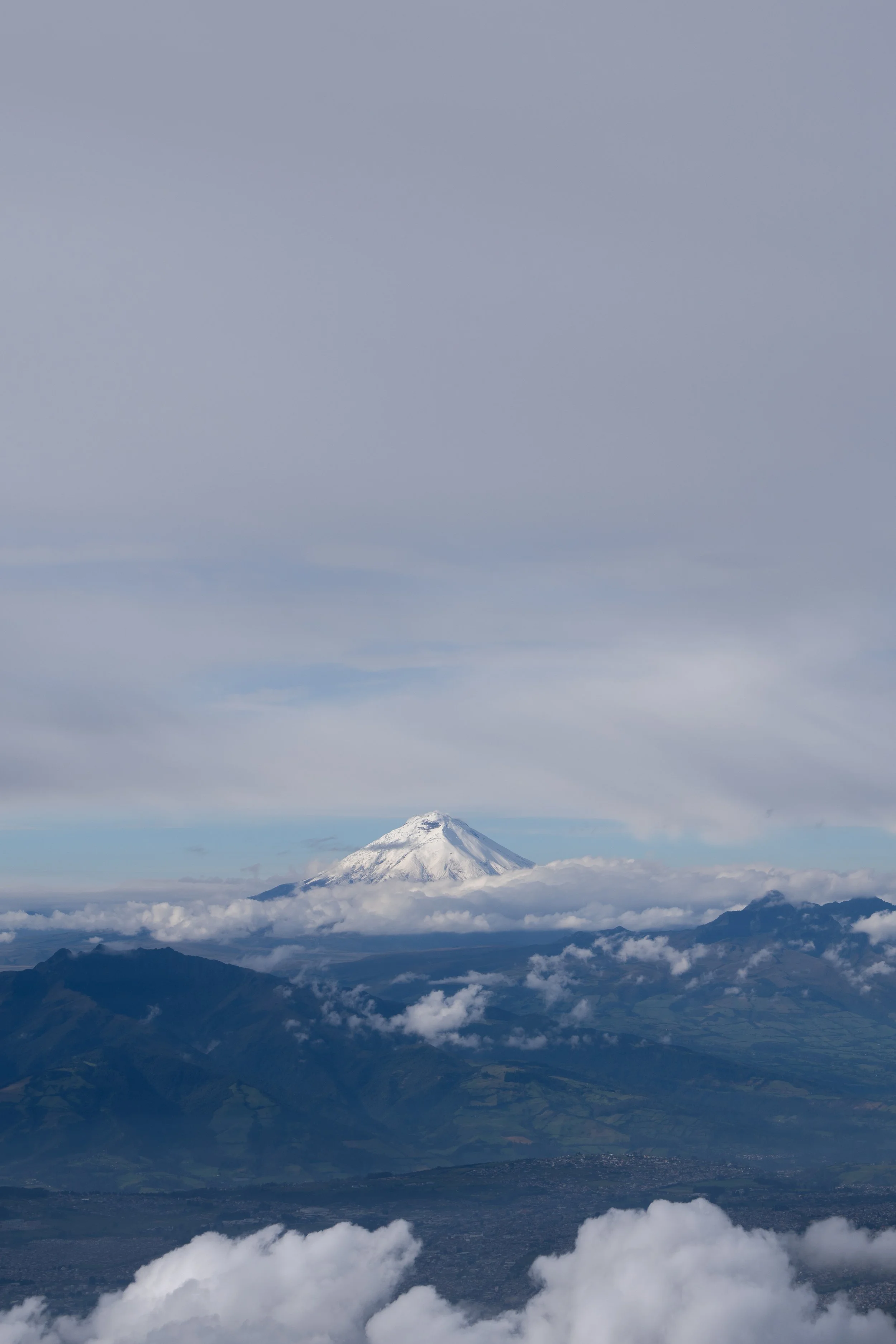 DSC00836.jpg