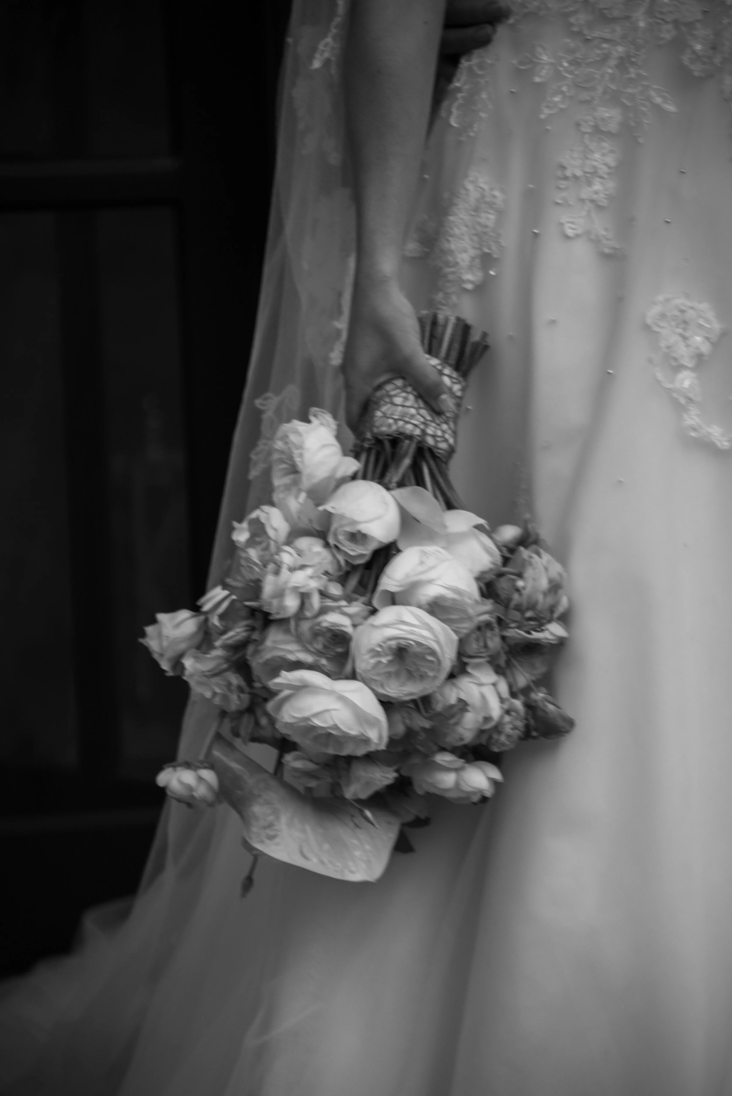 DSC_8565.jpg