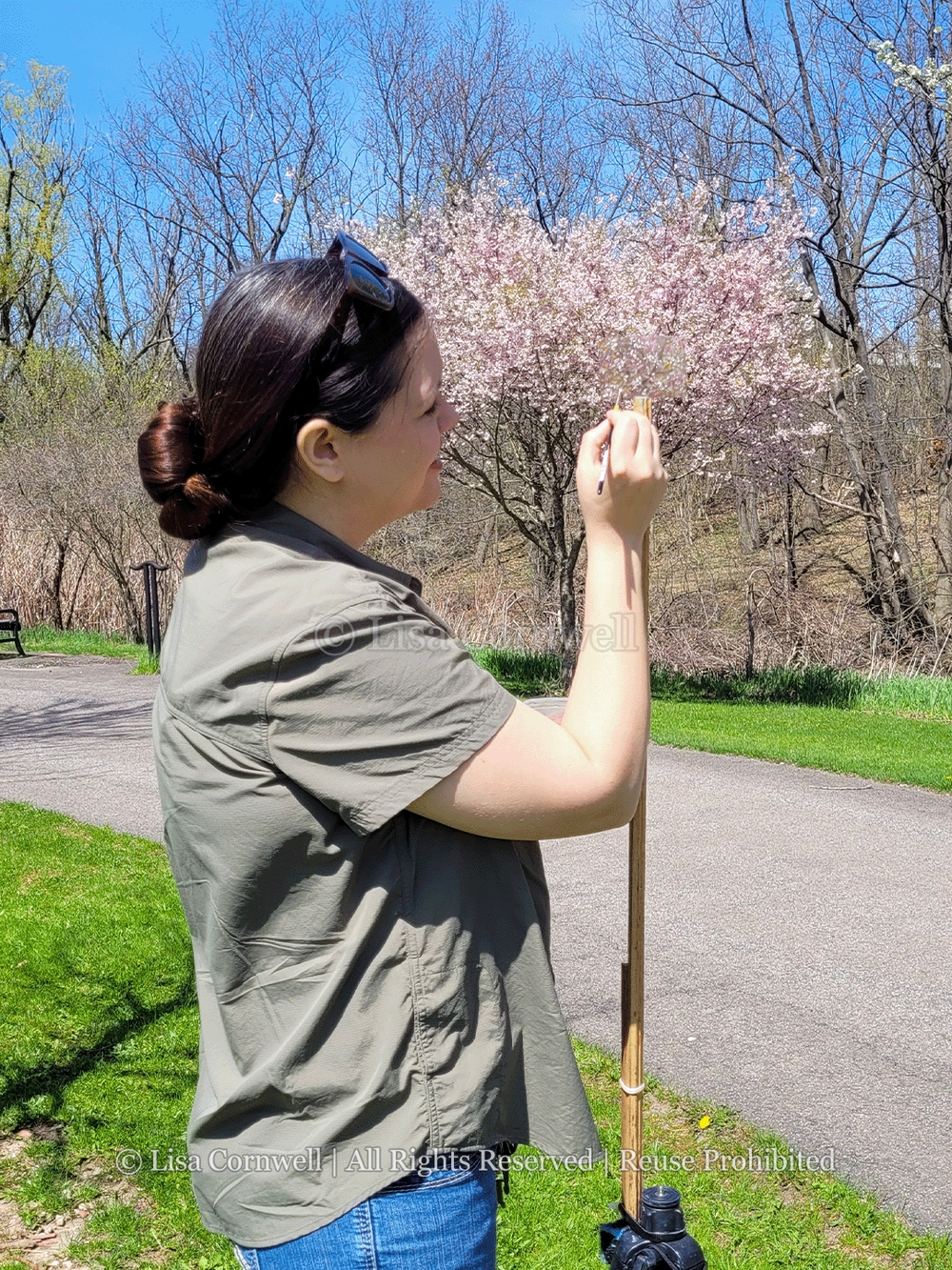 Two Mile Crabapple: Framed Plein Air Color Match Illusion — Lisa