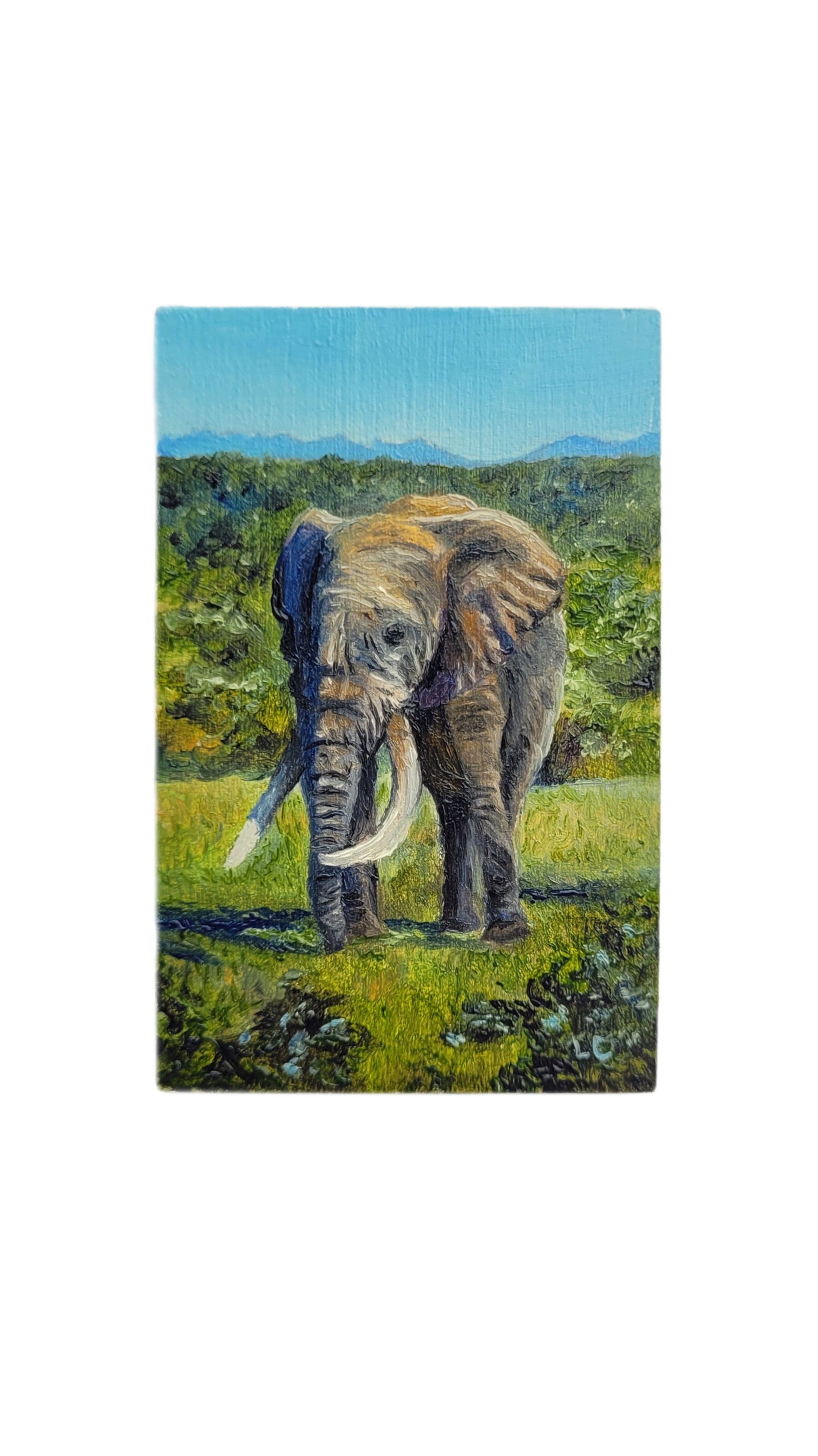 white-bg-mini-elephant.png