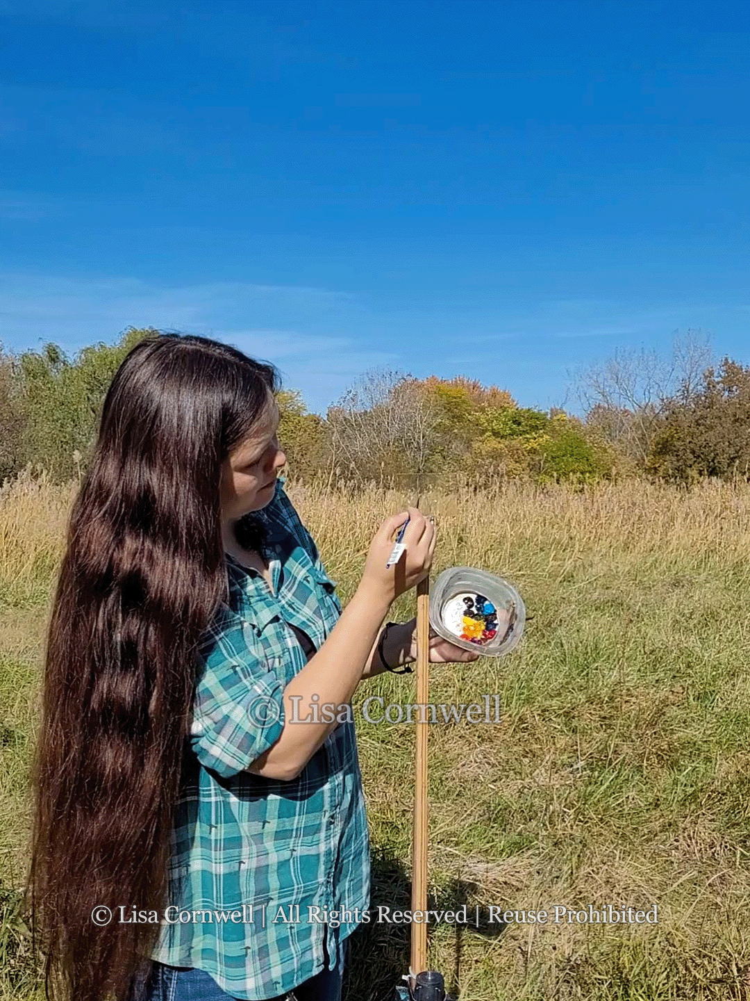 The Story Behind the Subject: Invasive Common Reed Grass
