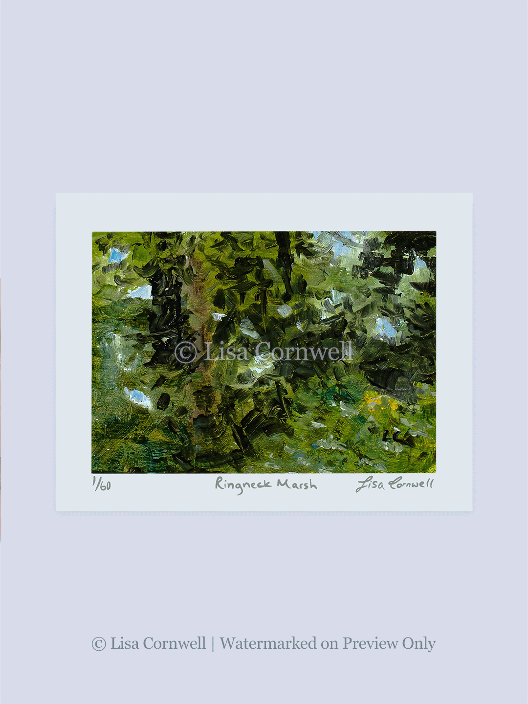 02_Ringneck-Marsh_Watermarked_3-to-4-Ratio_Website.png