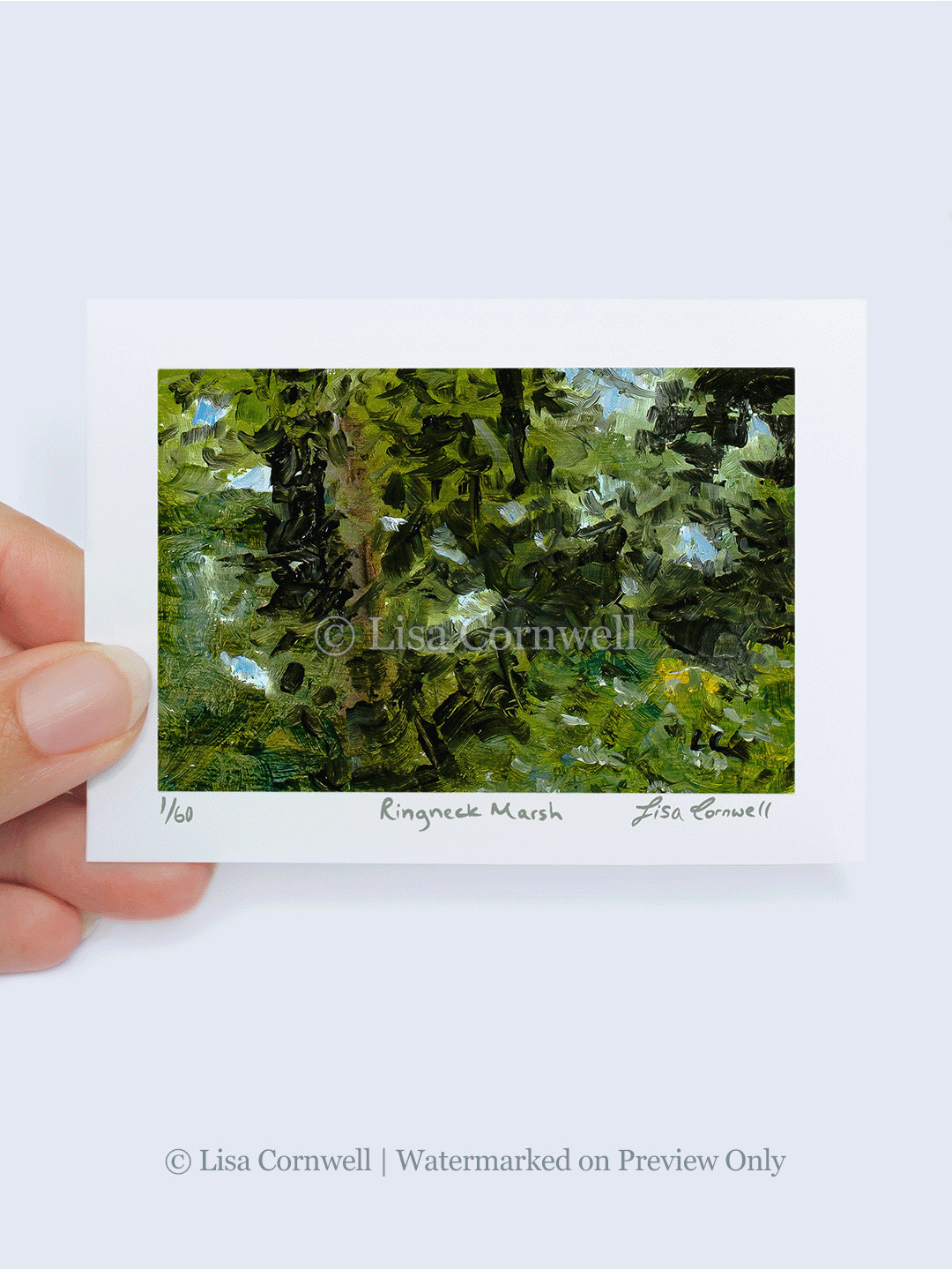 03_Ringneck-Marsh_Watermarked_3-to-4-Ratio_Website.png