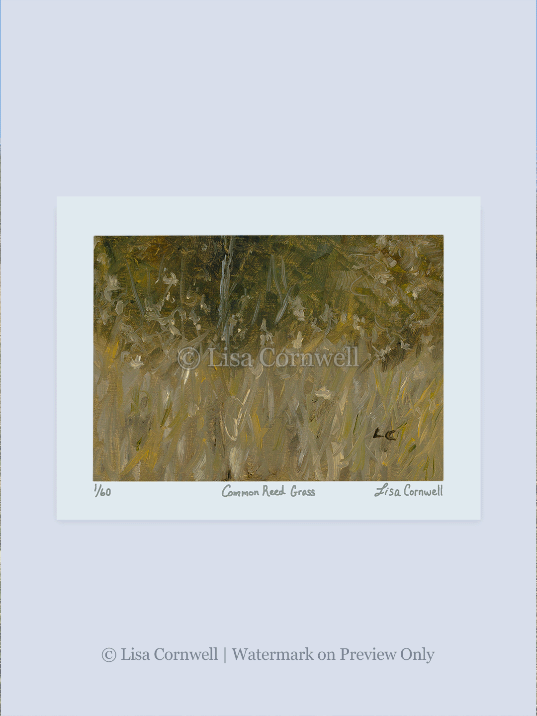14_Reed-Grass_Watermarked_3-to-4-Ratio_Website.png