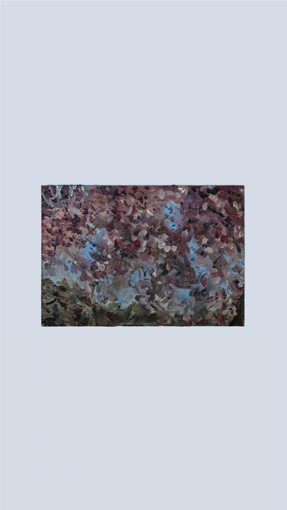絵画 flk046255 Light Crabapple Blossoms: Framed Plein Air Color Match Illusion