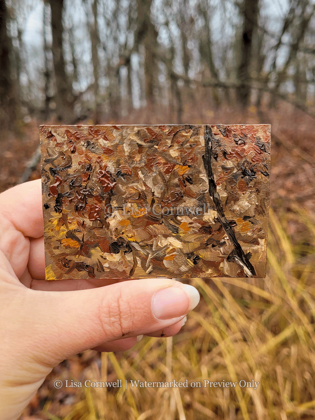 01b_forest-floor_Watermarked_3-to-4-Ratio_Website.png