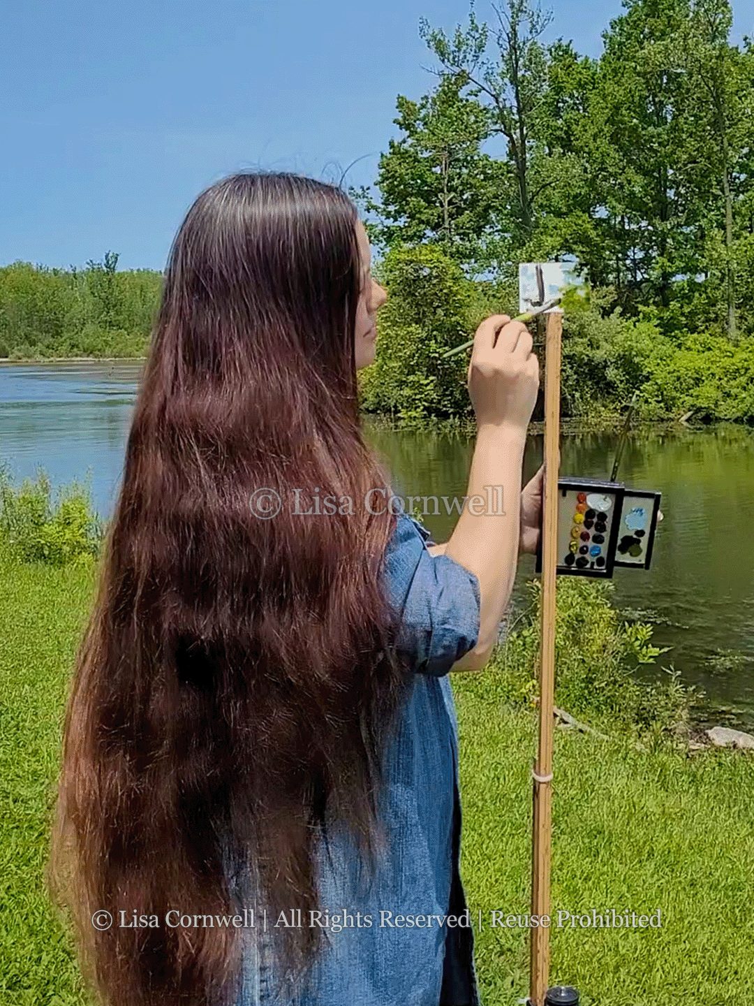 04_Ringneck-Marsh_Watermarked_3-to-4-Ratio_Website.png