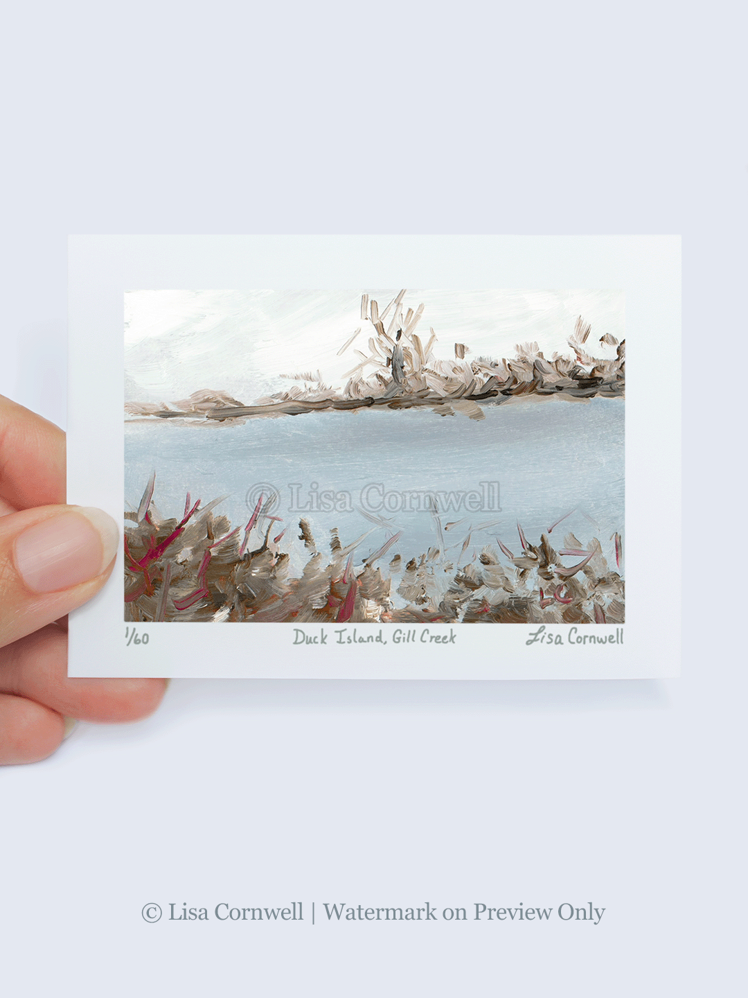 03_Duck-Island_Watermarked-Pics_3-to-4-Ratio_Website.png