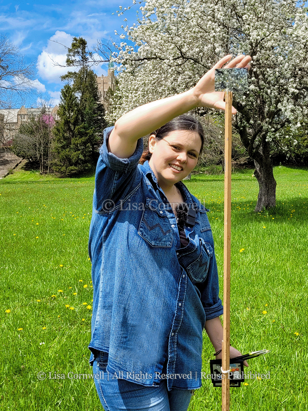 02 - Bradford-Pear_Watermarked_3-to-4-Ratio_Website.png