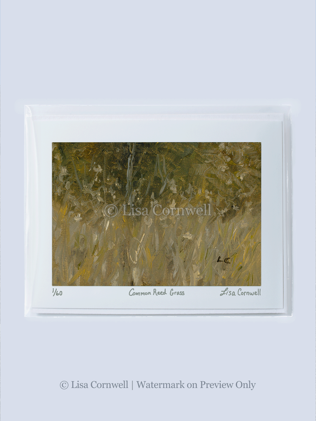 13_Reed-Grass_Watermarked_3-to-4-Ratio_Website.png