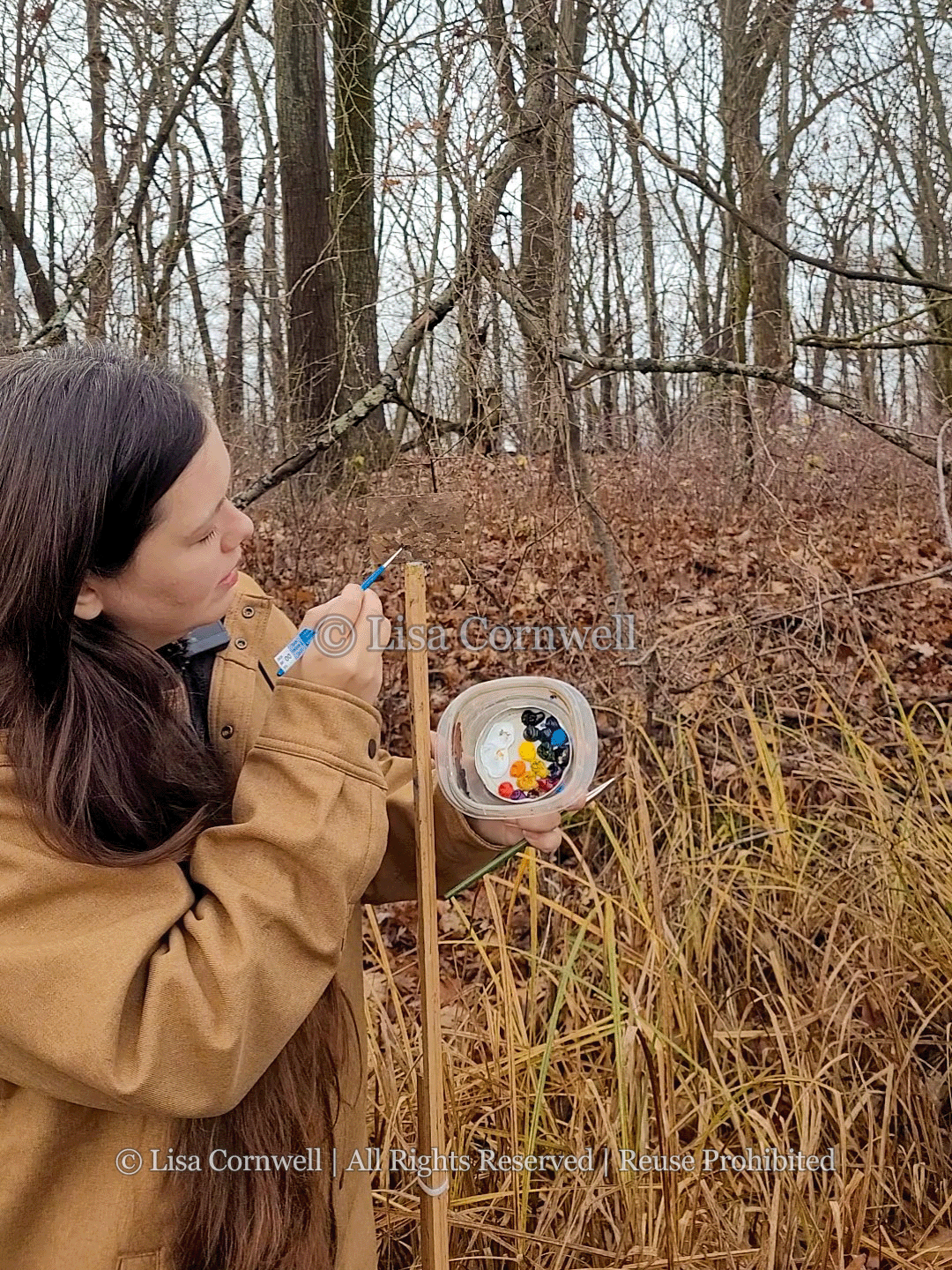 06_forest-floor_Watermarked_3-to-4-Ratio_Website.png