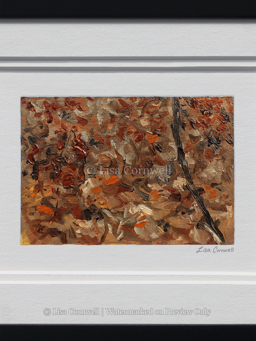 04b_forest-floor_Watermarked_3-to-4-Ratio_Website.png