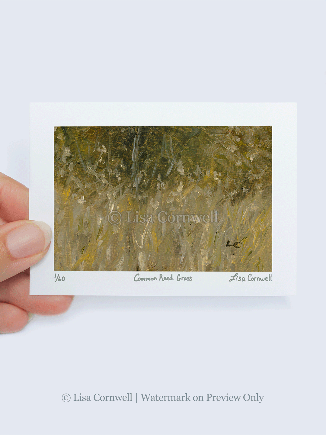 12_Reed-Grass_Watermarked_3-to-4-Ratio_Website.png