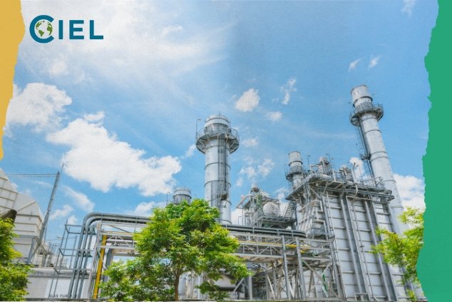 Confronting the Myth of Carbon-Free Fossil Fuels