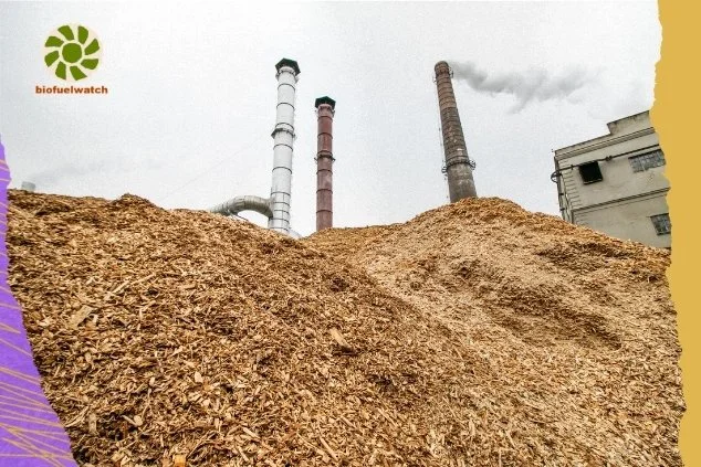 Bioenergy with Carbon Capture and Storage: Dangerous Hype