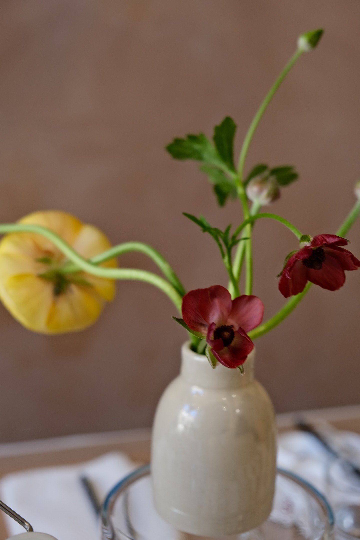 🌸 The Joy of Painting Flowers 🌸

Join me for a relaxed and inspiring abstract watercolour workshop this summer, where we&rsquo;ll be painting with seasonal flowers as our muse. We&rsquo;ll explore a range of techniques, with grounding practices t