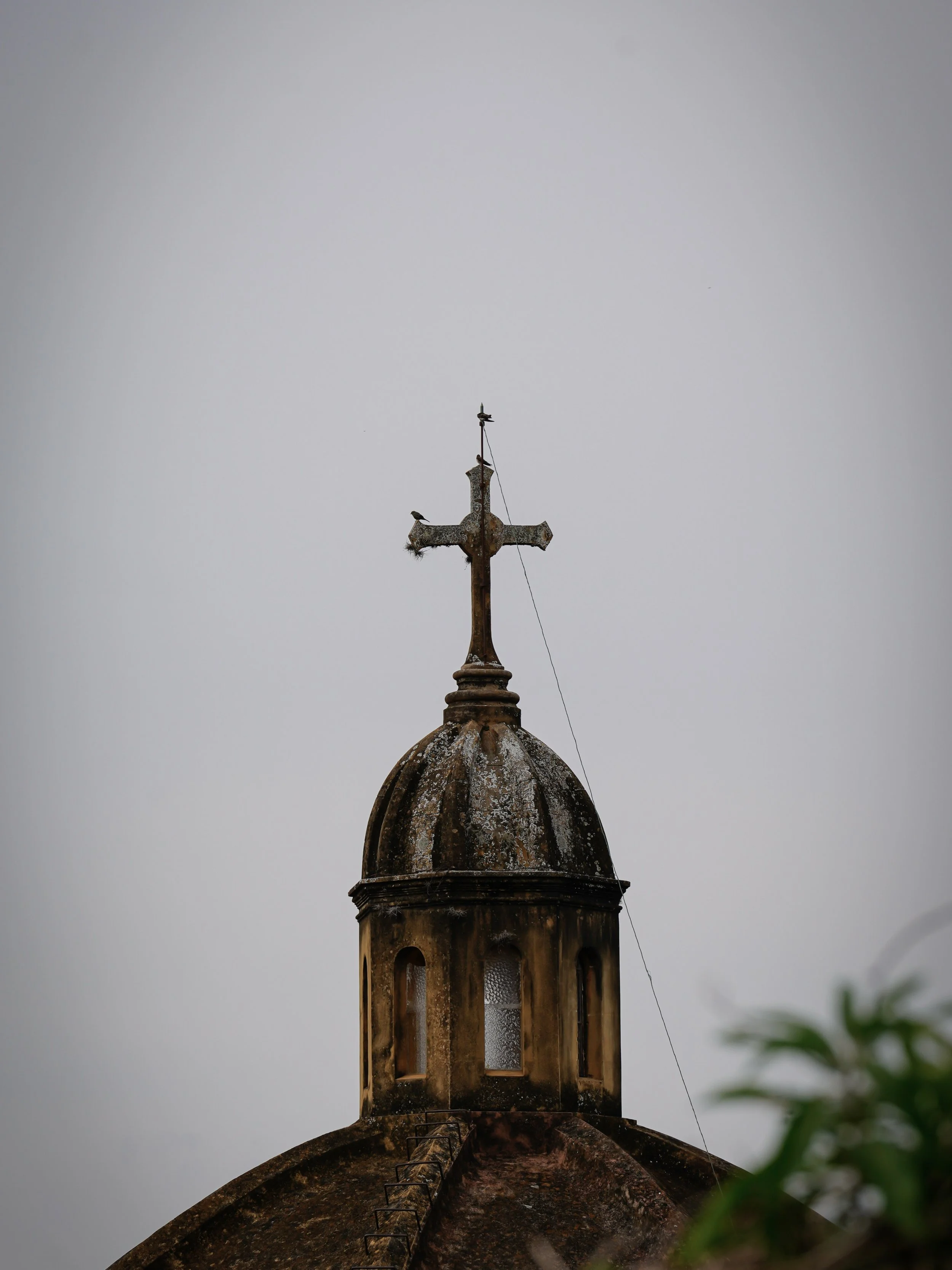 "Imagika", una bella serie acerca de sostenibilidad.