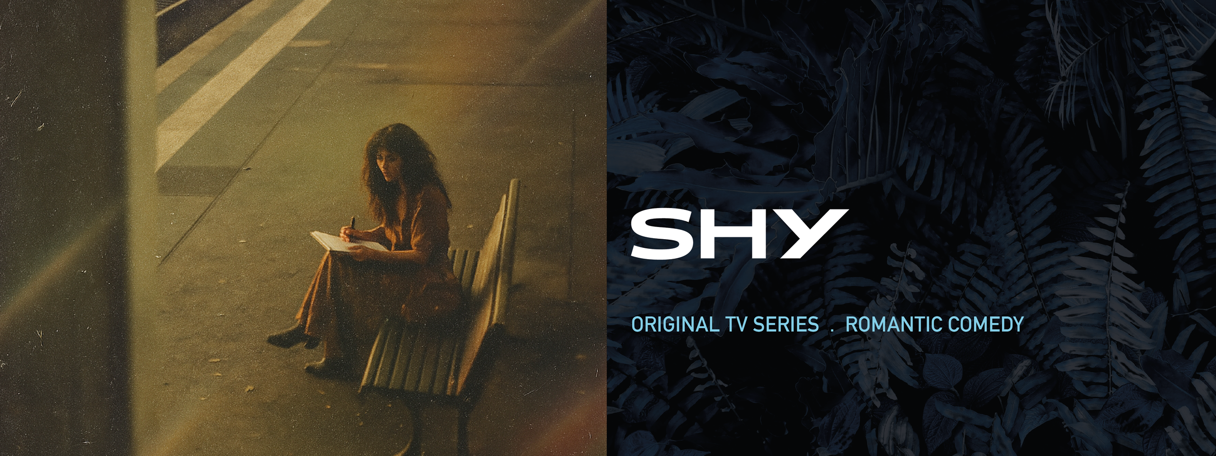 SHY 26 27.png