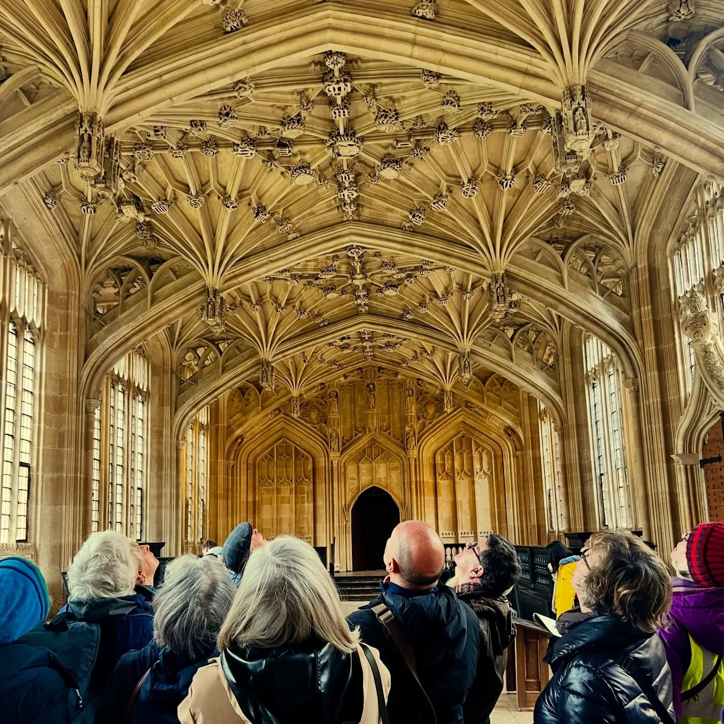 What&rsquo;s the collective noun for a group of tour guides? An illumination? 

Anyway, here&rsquo;s one today, in the @bodleianlibraries Divinity School, following a fascinating lecture from Dr Duncan Taylor giving us brand new insights into its fam