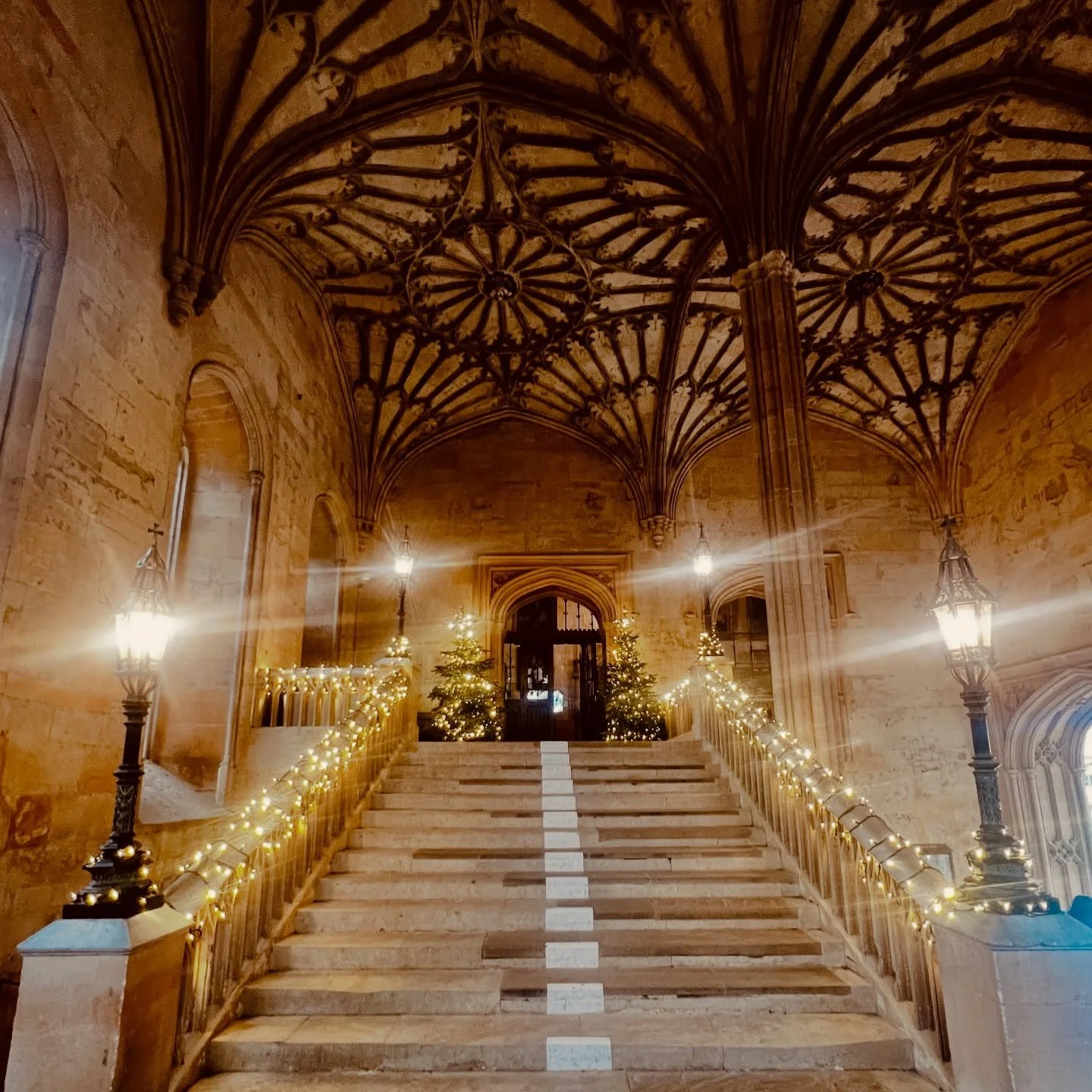 It&rsquo;s *definitely* Christmas at @christchurchoxford with Alice-themed decorations, multiple Christmas trees and a cornucopia of goodies in the dining hall. Many thanks to Helen for showing us round the magical Christmas Tree Trail 🙏

🎄⏱️🎄✨🎄?