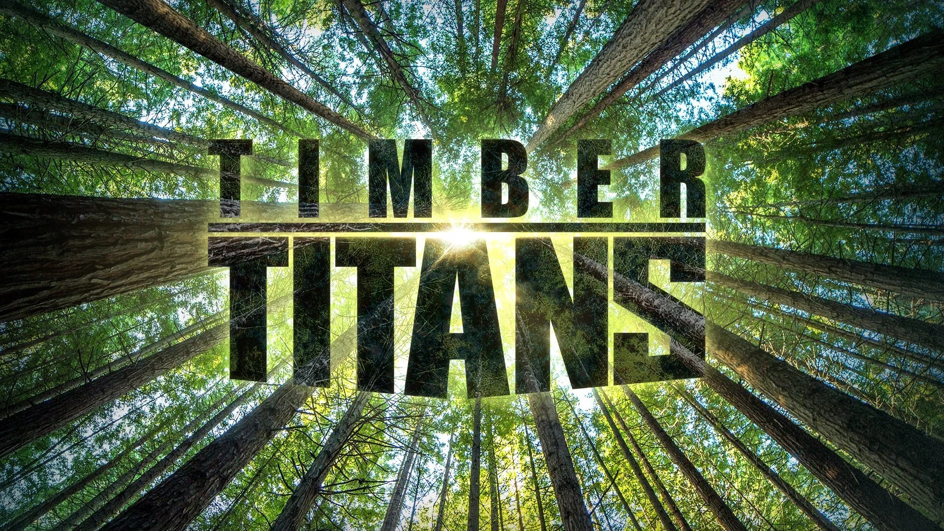 Timber Titans The Weather Channel