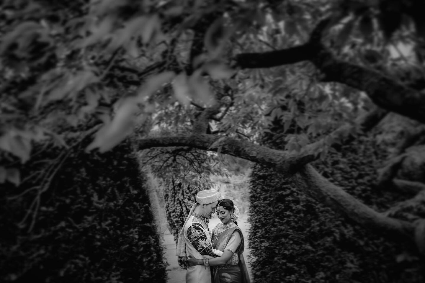 Human Nature 🍃

Noir by Kabilan Raviraj

#weddingportrait #love #nature #green #hinduwedding #tamilwedding #tamilbride #groom #groominspiration