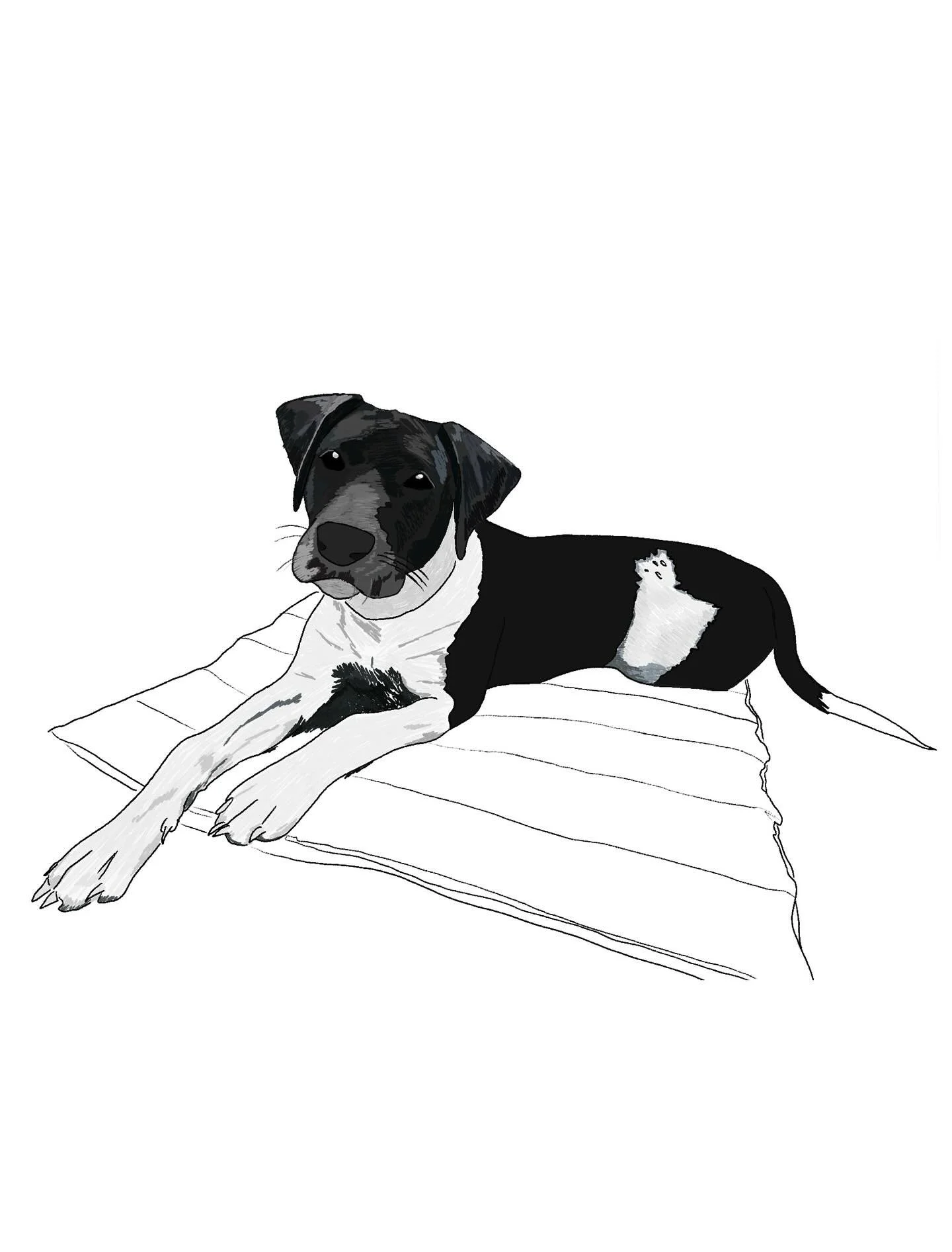 it&rsquo;s been so long since I posted this app is&hellip;not fun but I&rsquo;m still making stuff (sometimes) here&rsquo;s an illustration of our puppy Lee that I gave @spencedunc for his birthday xoxox