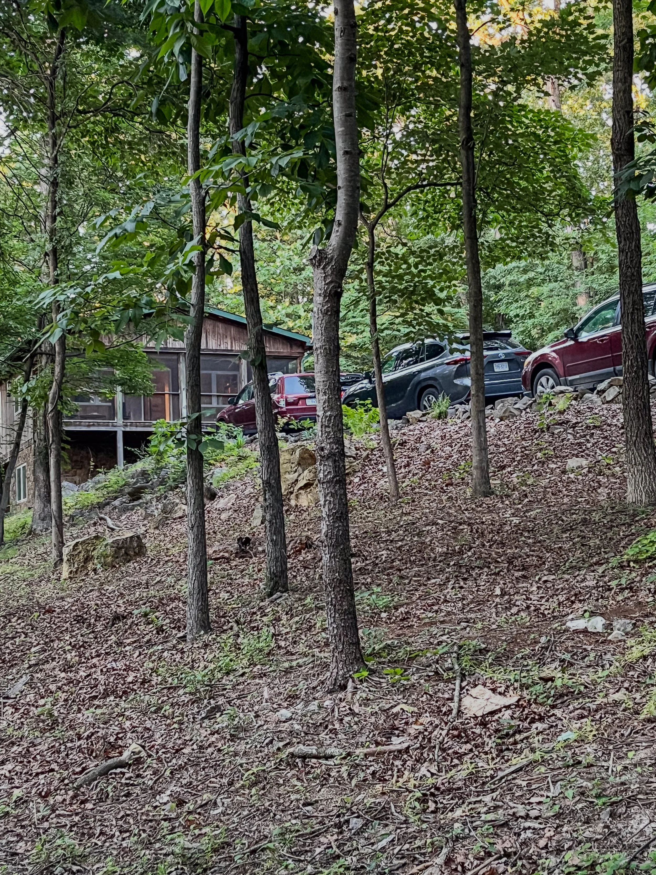 Rob Barnard Anagama Firing-06.jpg