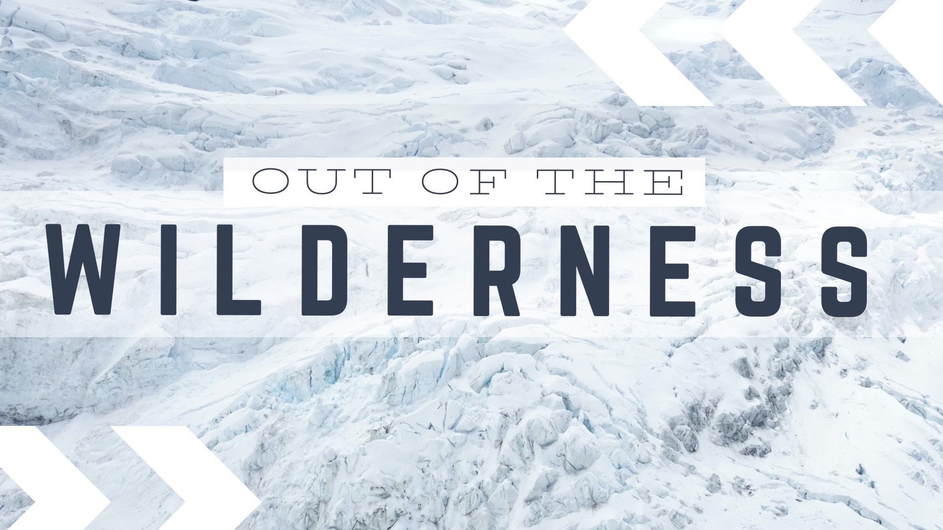 Out of the Wilderness Graphic.jpg