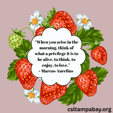 On the Minister’s Mind