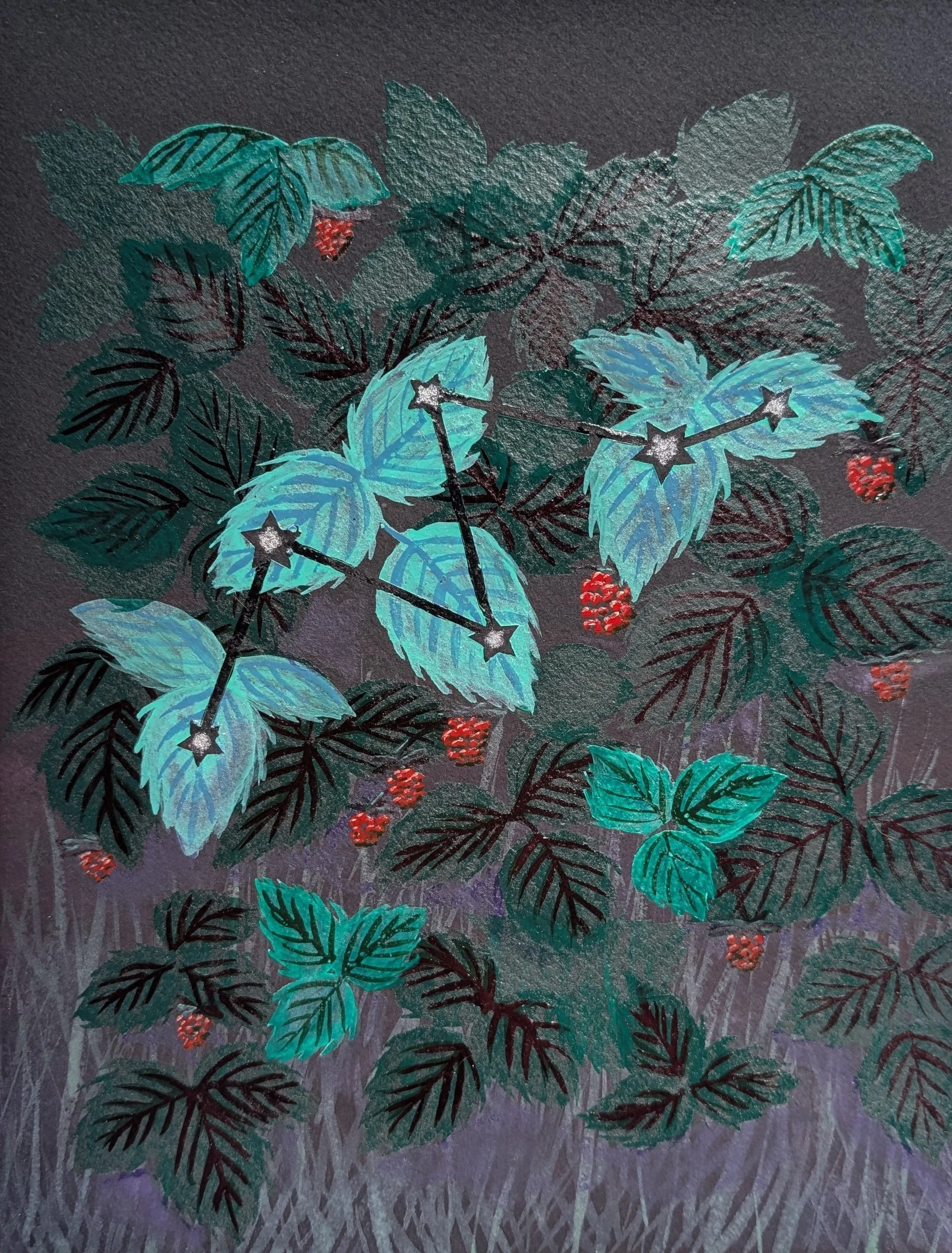The Raspberry Constellation
