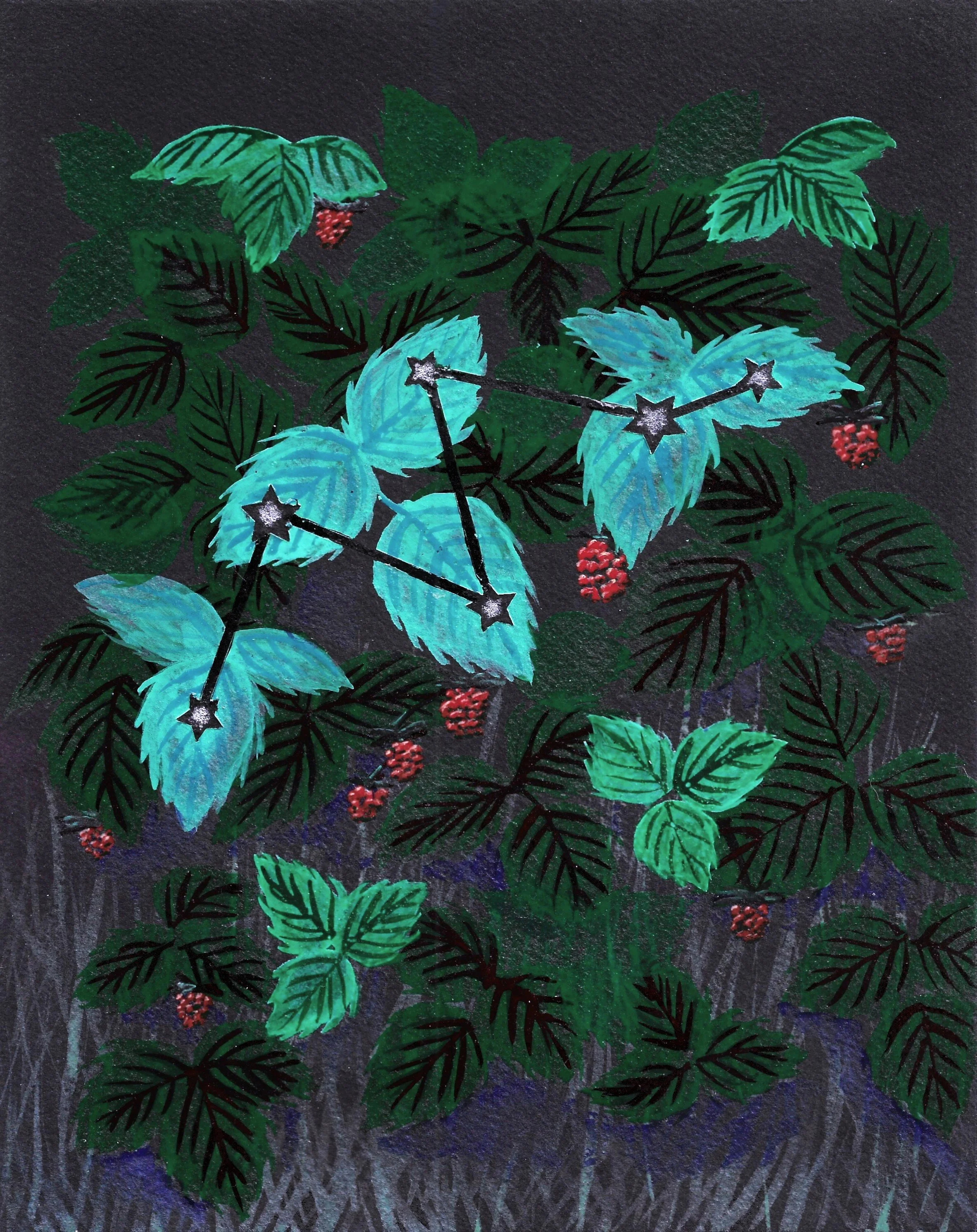 Raspberry scanned 2.jpg