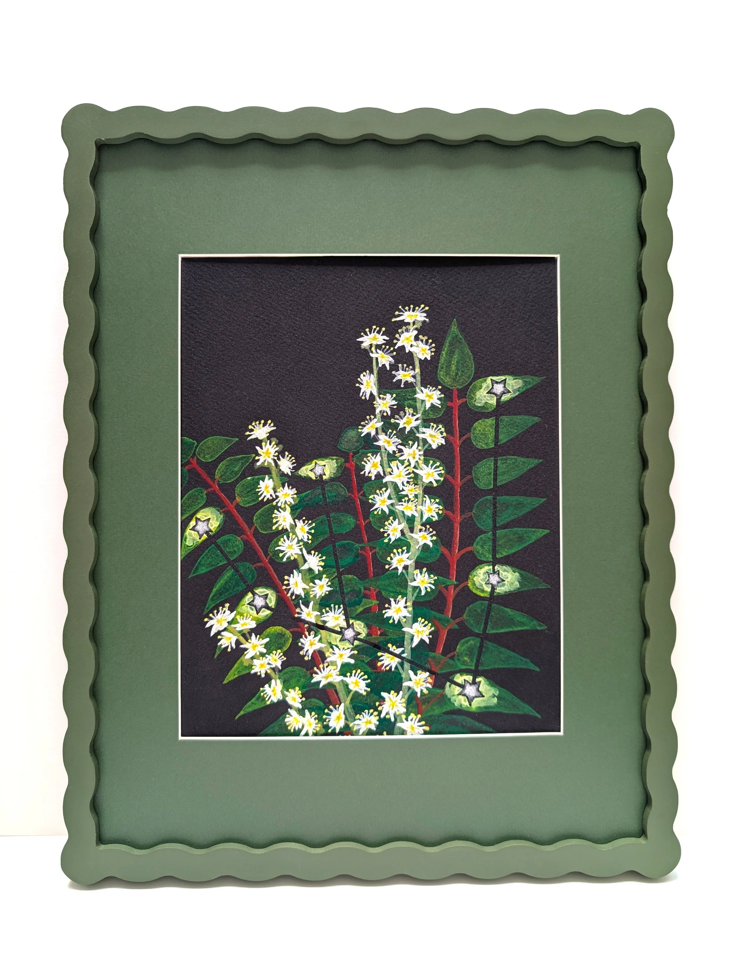 Ailanthus framed.jpg