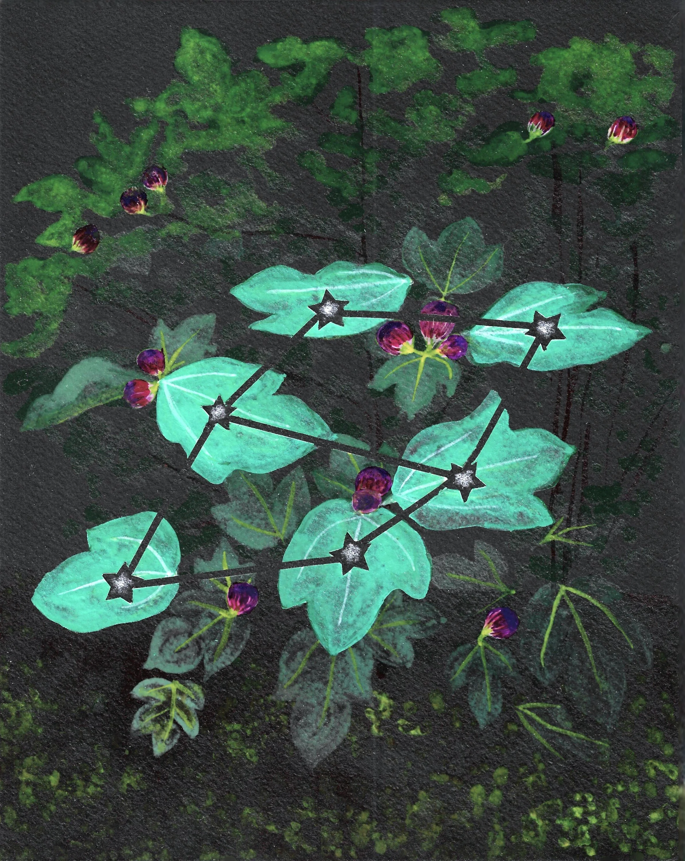 Fig scanned 2.jpg