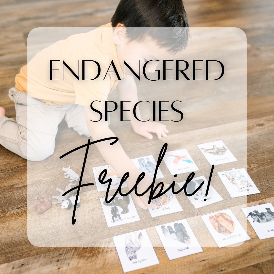 For National Endangered Species Day tomorrow, let&rsquo;s explore and protect, together! 🐼 

Comment &ldquo;ANIMAL&rdquo; ⬇️ below and grab your free activity bundle for kids ages 2-11. Join the fun and make a difference!
.
.
.
.
#homeschool #presch