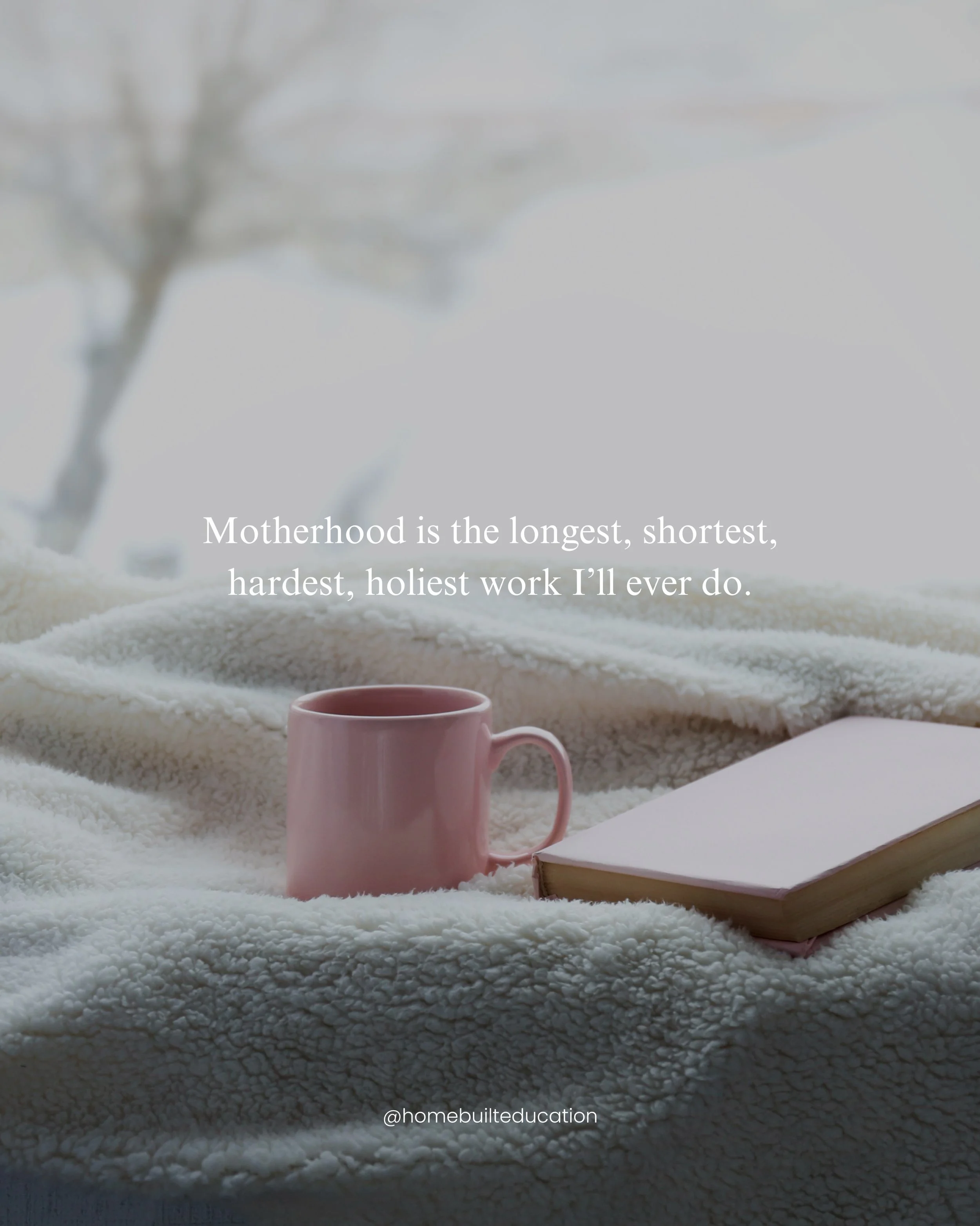 To the moms in the thick of it, read that one more time.🤍
.
.
.
#motherhood #motherhoodlens #motherhoodquotes