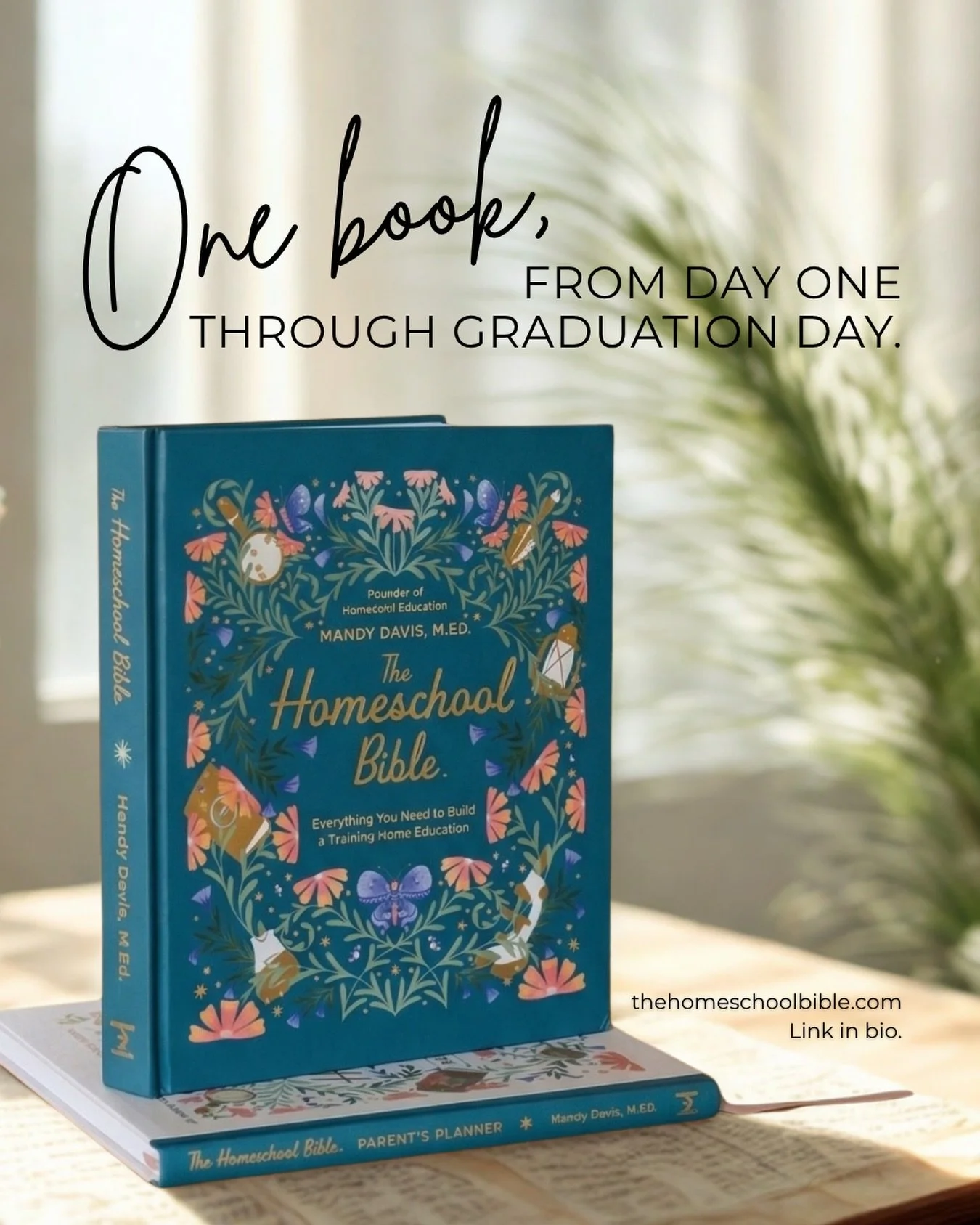 Most homeschool resources cover a season, a method, a philosophy, or a specific grade range. I wanted to write something that covered the whole journey.

From the very first morning at the kitchen table, when you have no idea what you&rsquo;re doing 