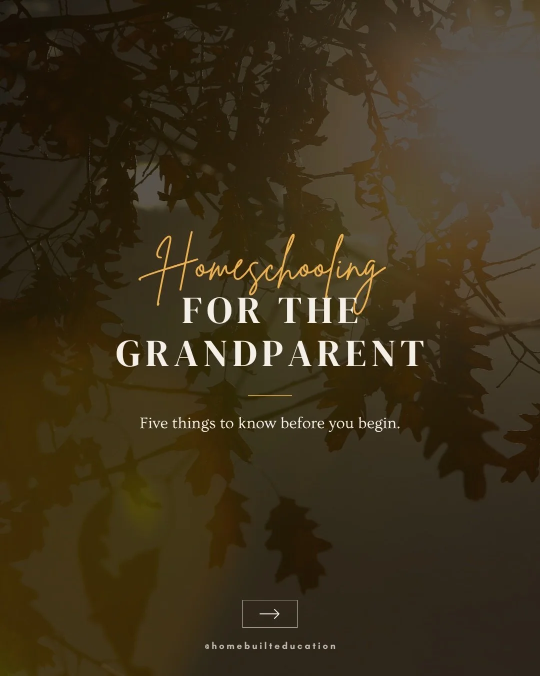 More grandparents are stepping into homeschooling every year. 

Some are helping a busy son or daughter carry the load. Some are supporting a single parent. Some simply want their grandchildren&rsquo;s education to carry the family&rsquo;s values for