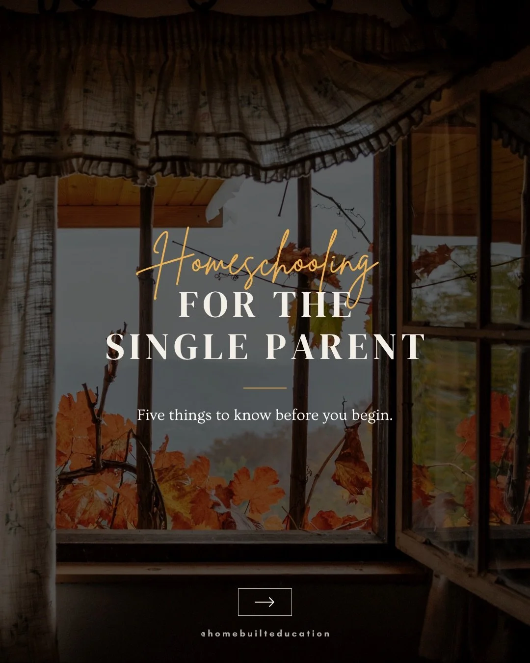 Somebody reading this has been told, or has told themselves, that homeschooling is off the table because they&rsquo;re doing this alone. 

📣Let me be the voice that says otherwise. 

Homeschooling as a single parent asks for creativity and support, 